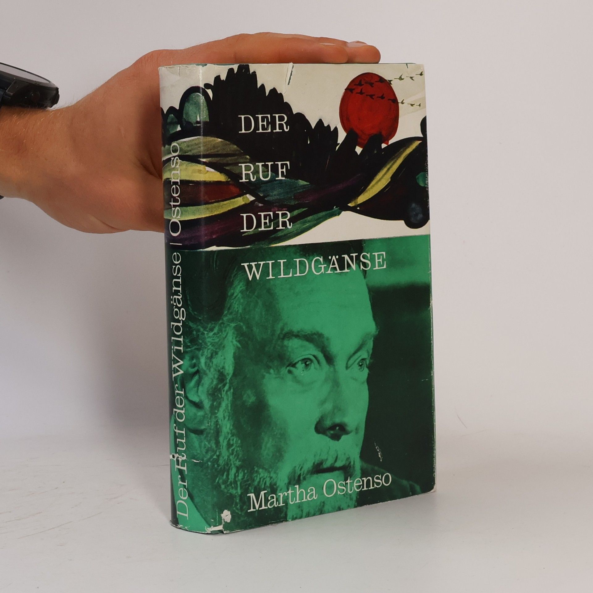 Martha Ostenso Der Ruf der Wildgänse