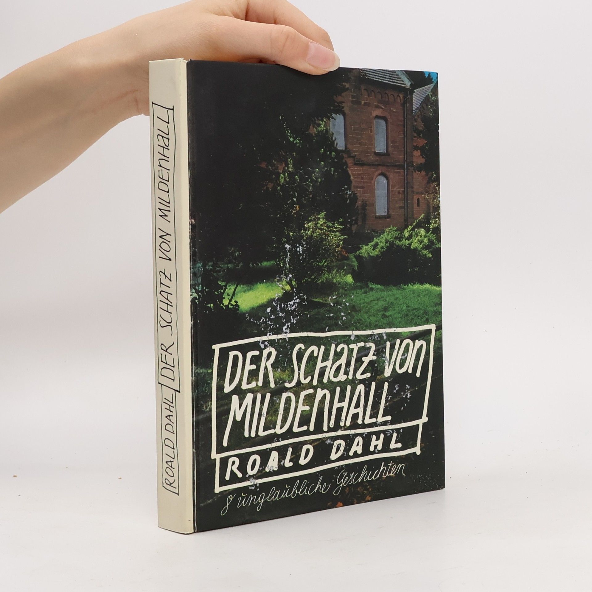 Roald Dahl Der Schatz von Mildenhall