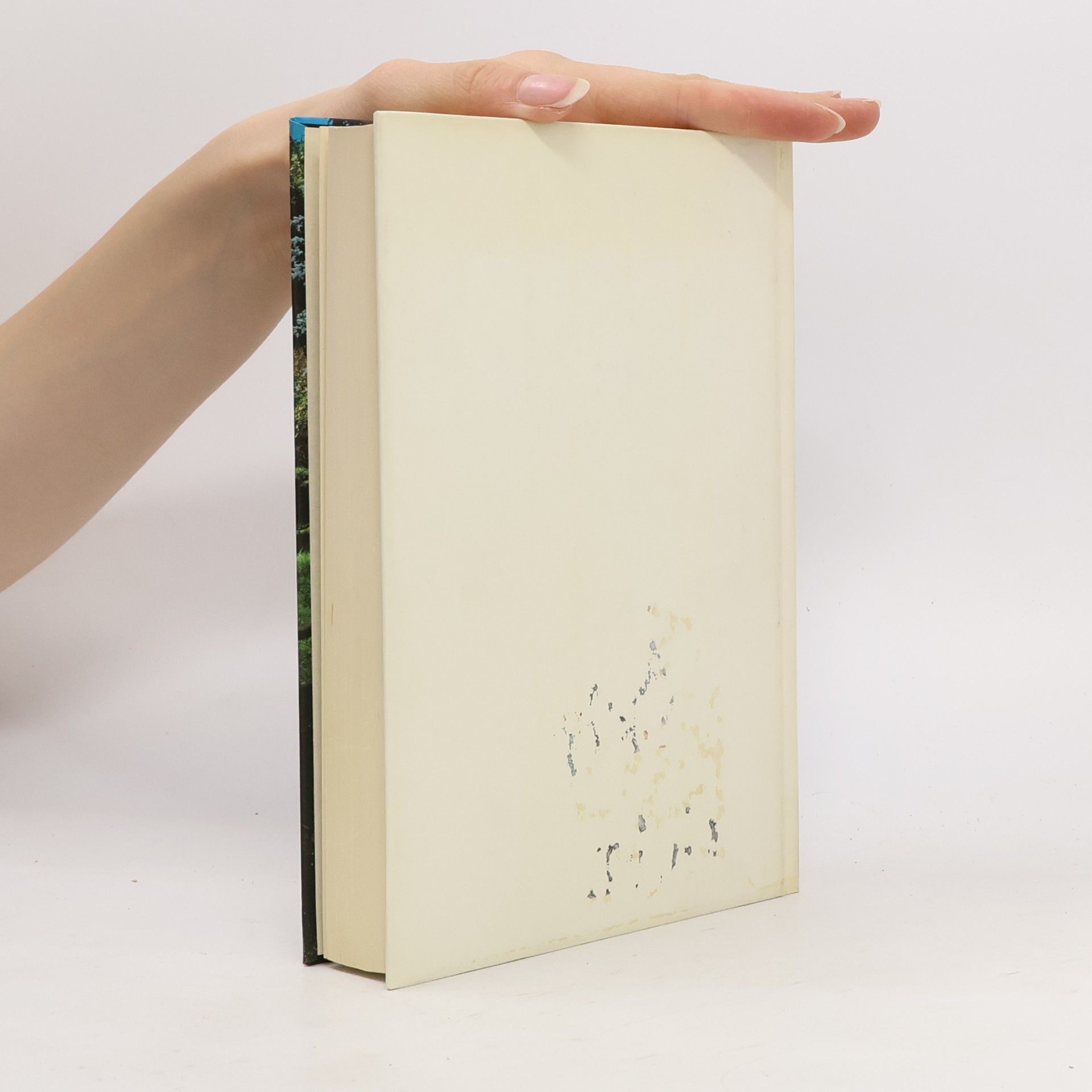 Roald Dahl Der Schatz von Mildenhall