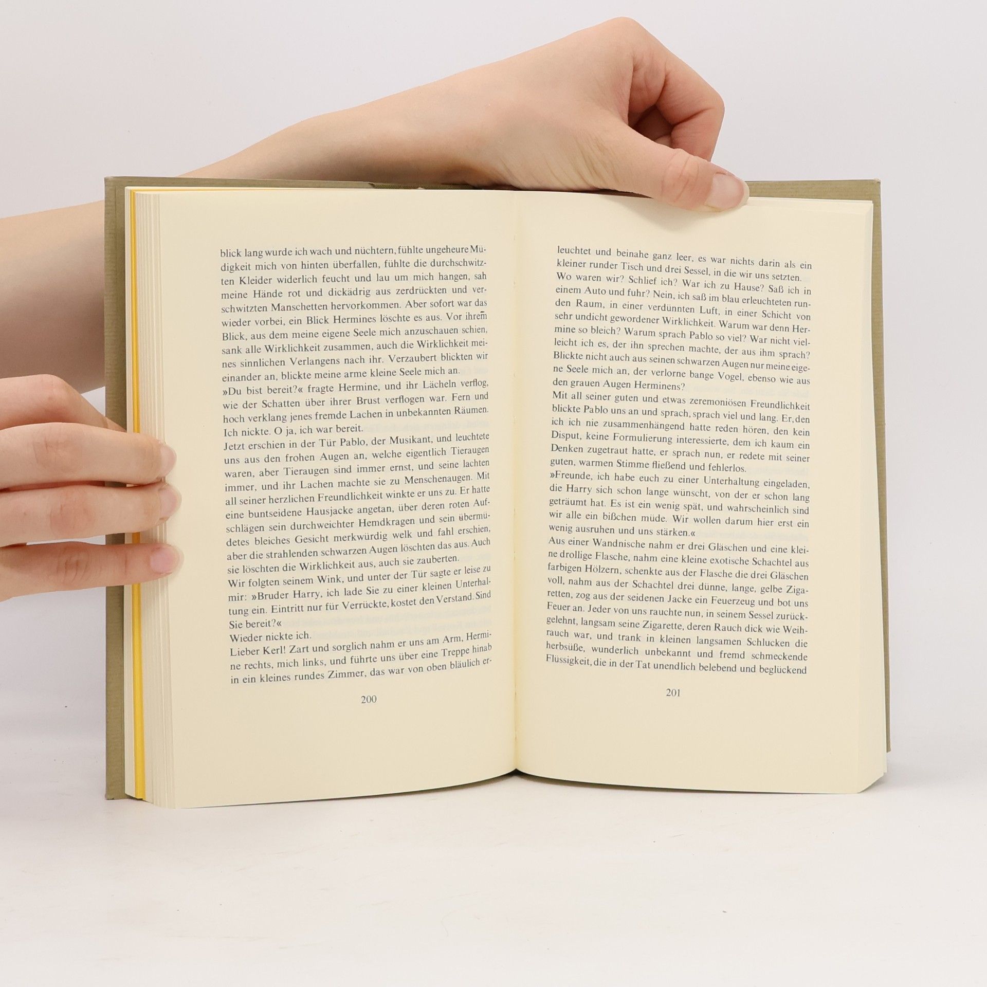 Hermann Hesse Der Steppenwolf und Texte aus dem Umkreis des Steppenwolf