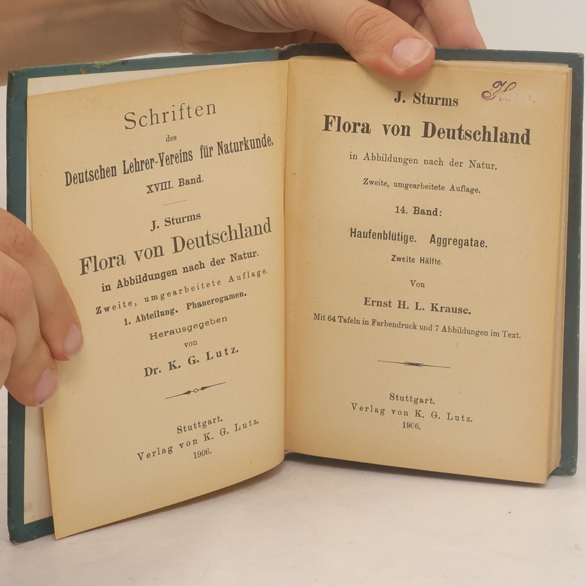 Ernst H. L. Krause Flora von Deutschland