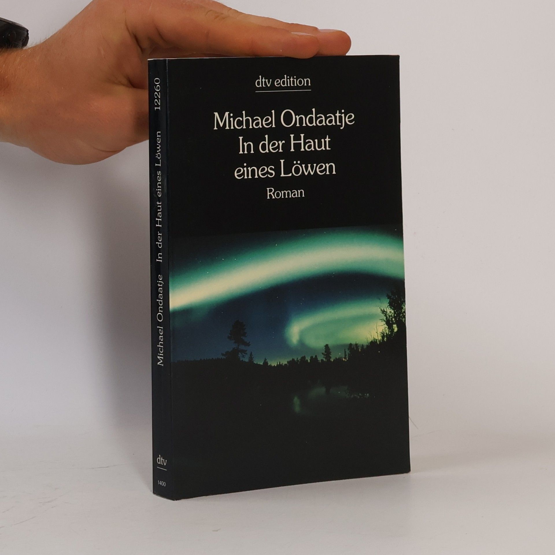 Michael Ondaatje In der Haut eines Löwen