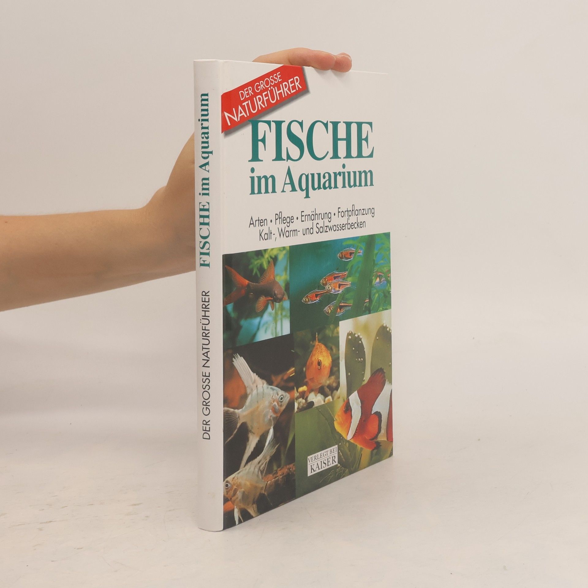 Fische im Aquarium