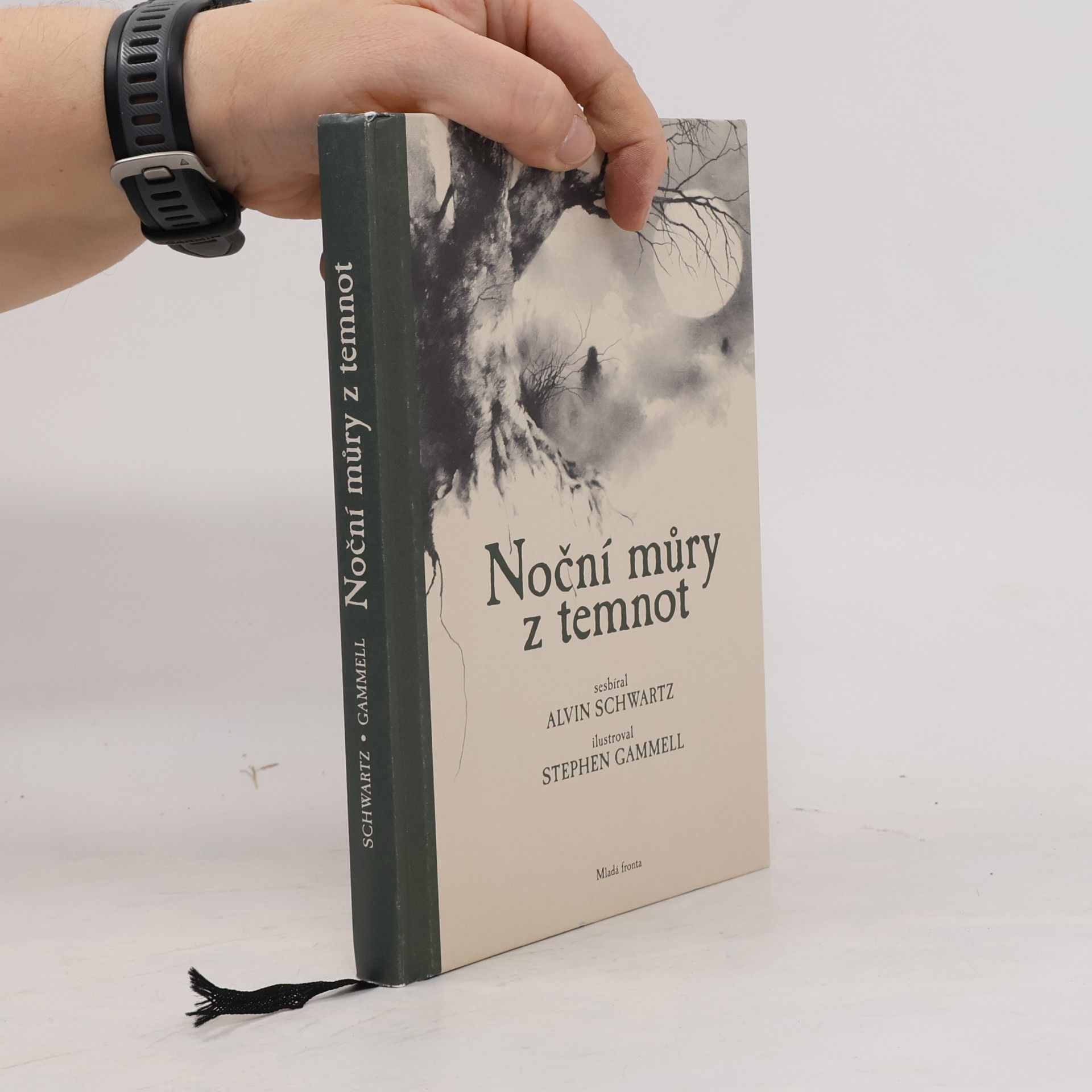 Alvin Schwartz Noční můry z temnot. Strašidelné příběhy pro dlouhé večery