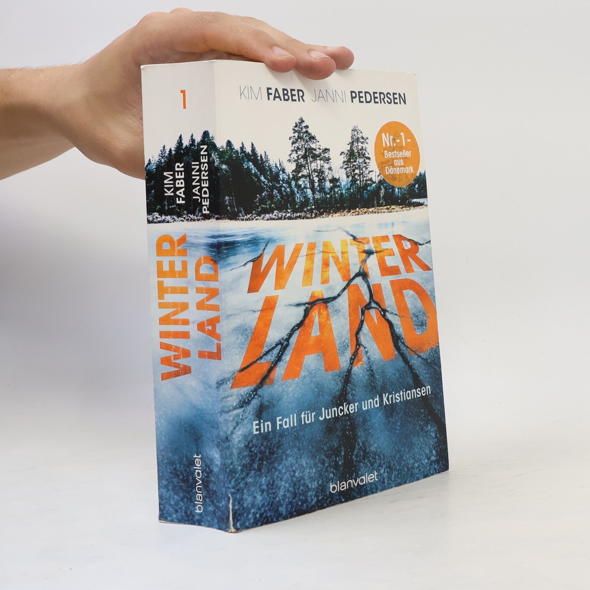 Kim Faber Winterland