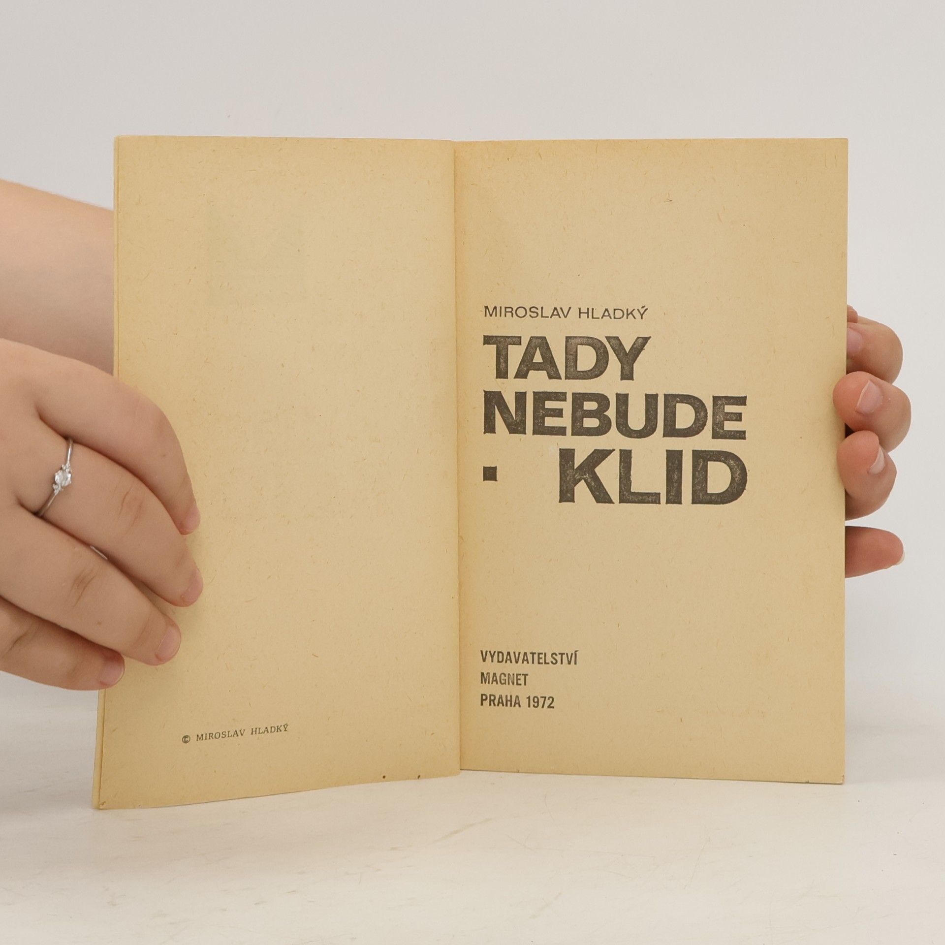 Miroslav Hladký Tady nebude klid
