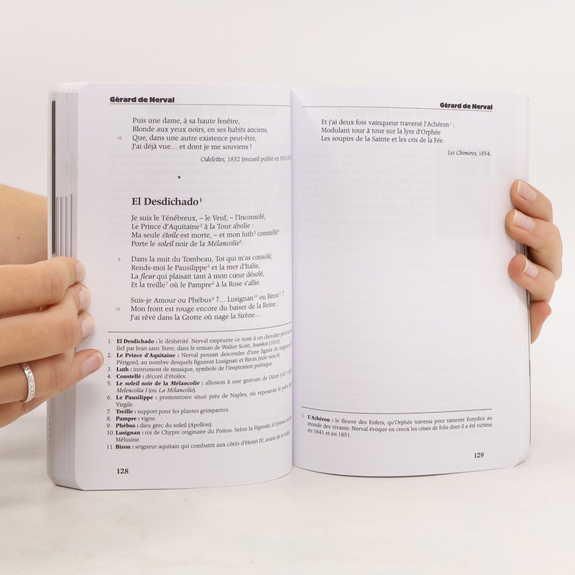 Autorenkollektiv 100 poemes classiques et contemporains