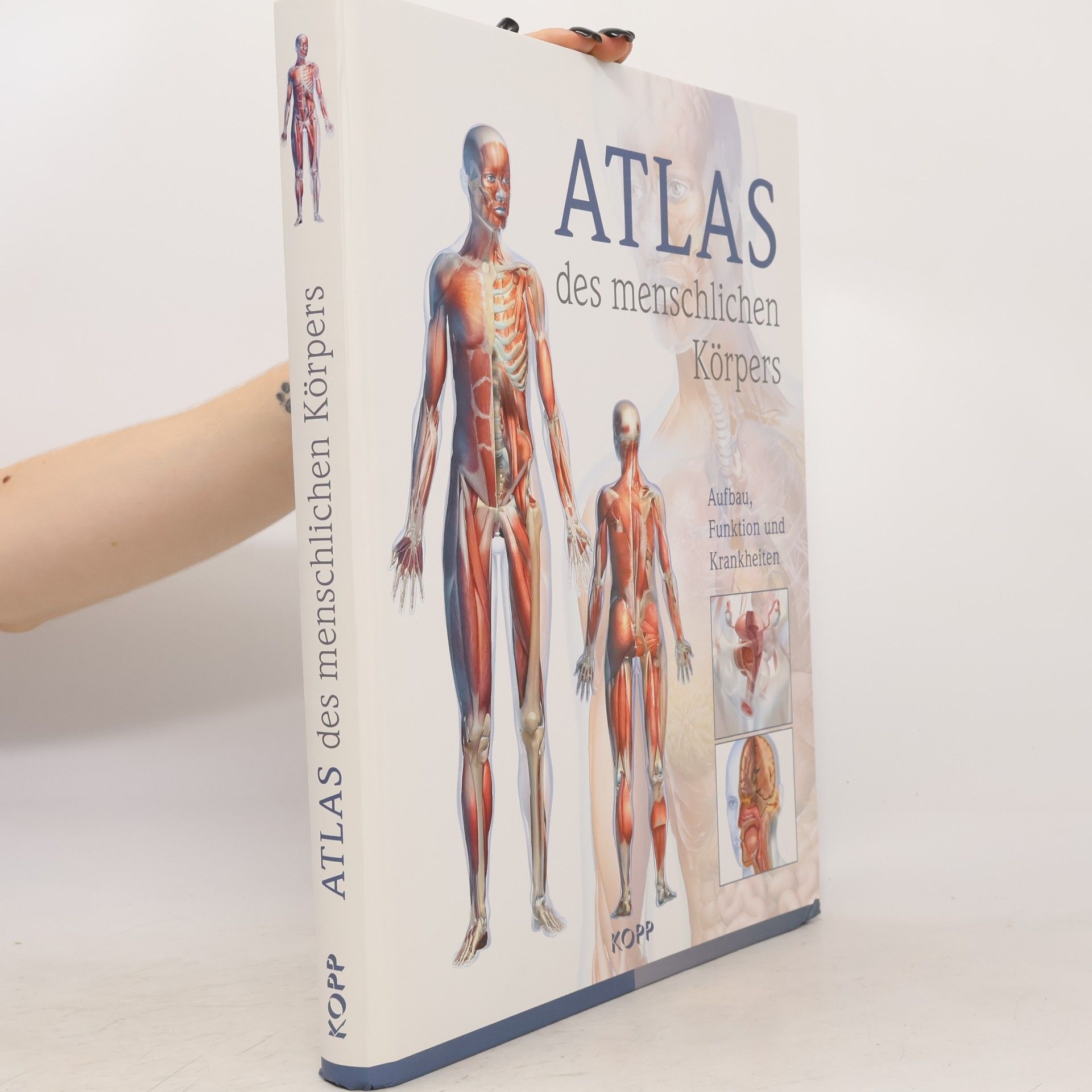 Various authors Atlas des menschlichen Körpers