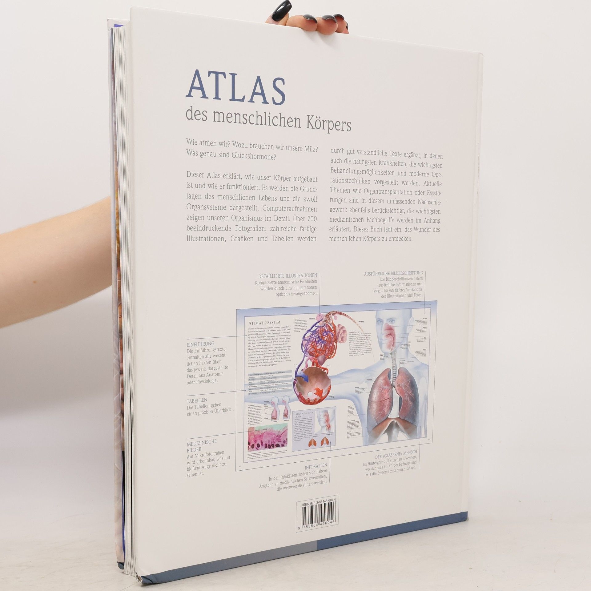 Various authors Atlas des menschlichen Körpers