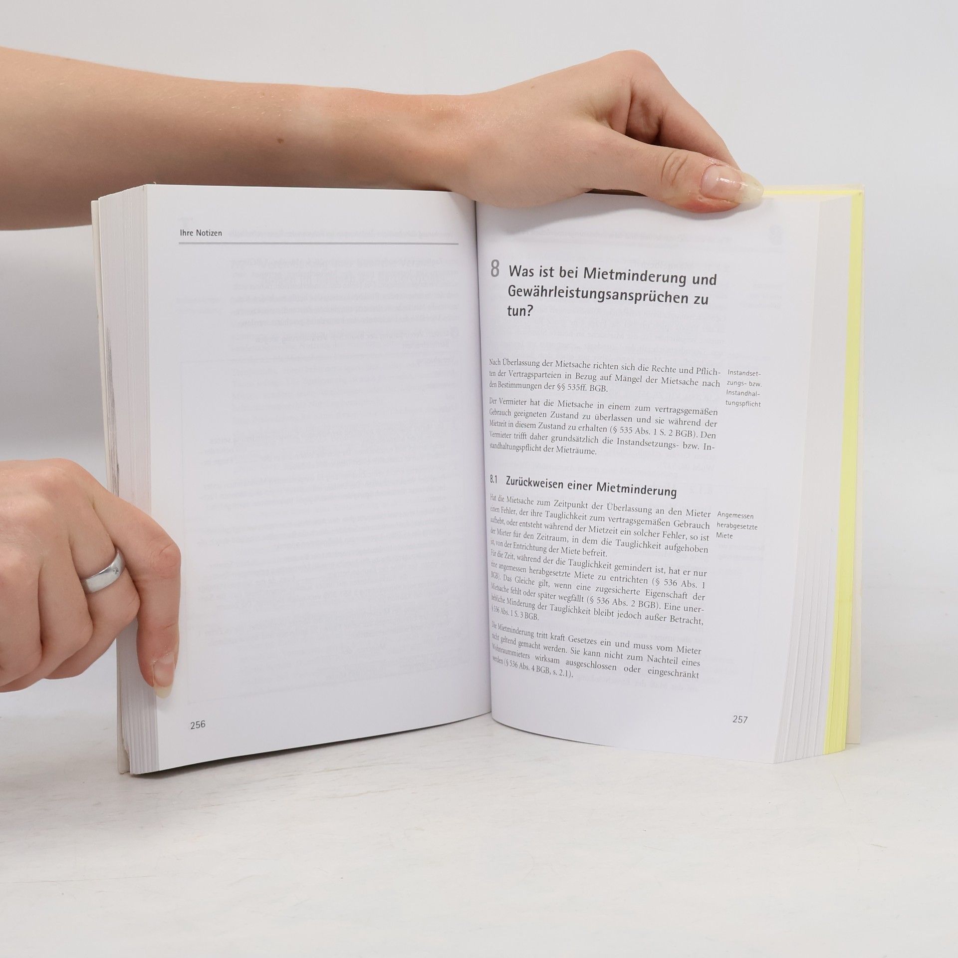Rudolf Stürzer Das Vermieter-Praxishandbuch