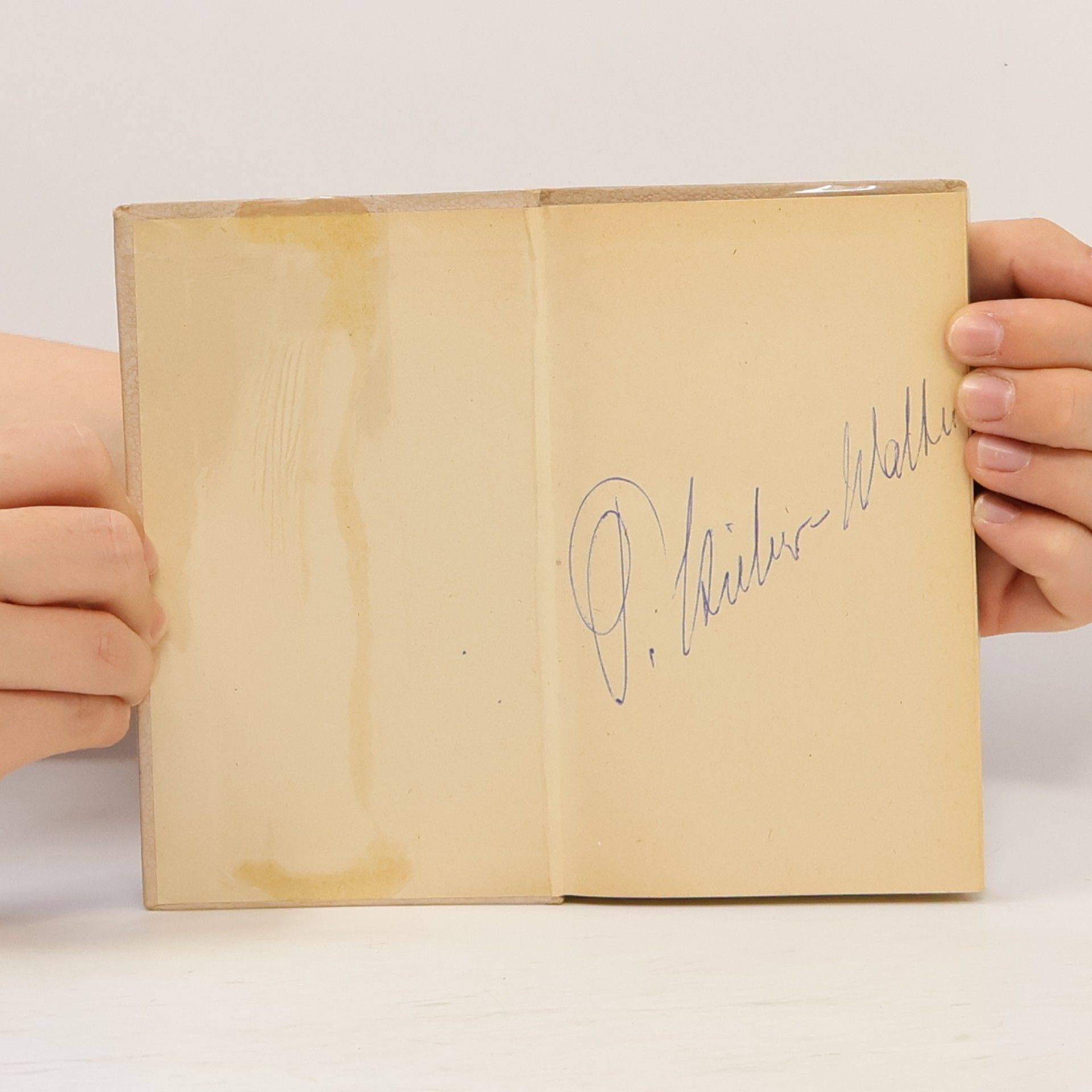 Paul Stieber-Walter Der Requisiten teufel