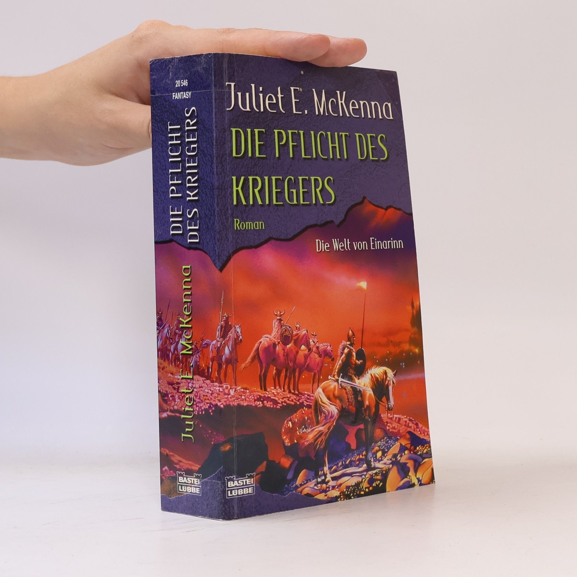 Die Pflicht des Kriegers. Roman