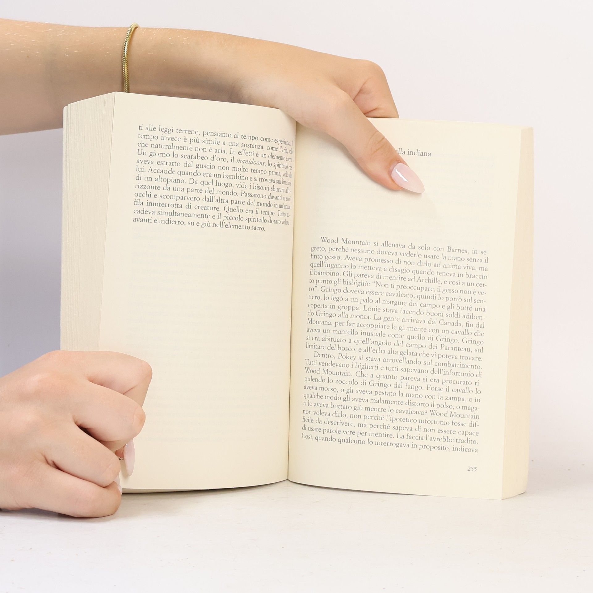 Louise Erdrich Il guardiano notturno