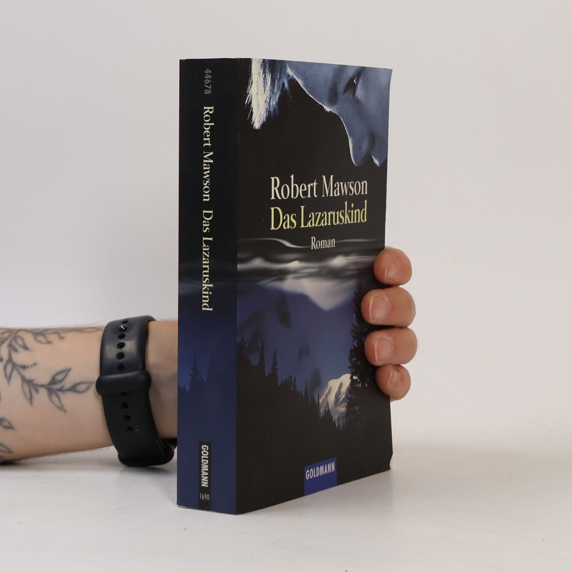 Robert Mawson Das Lazaruskind