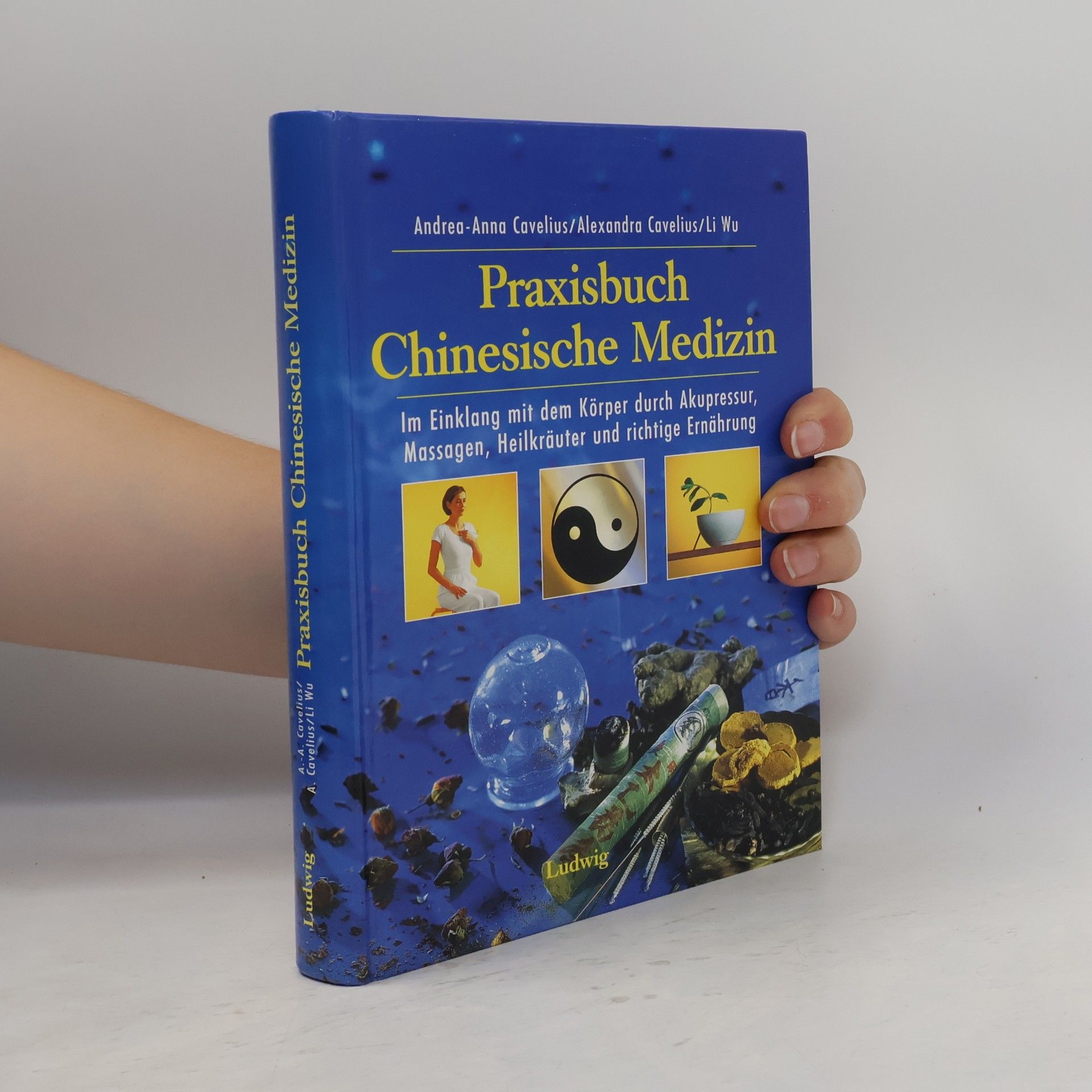 Praxisbuch chinesische Medizin