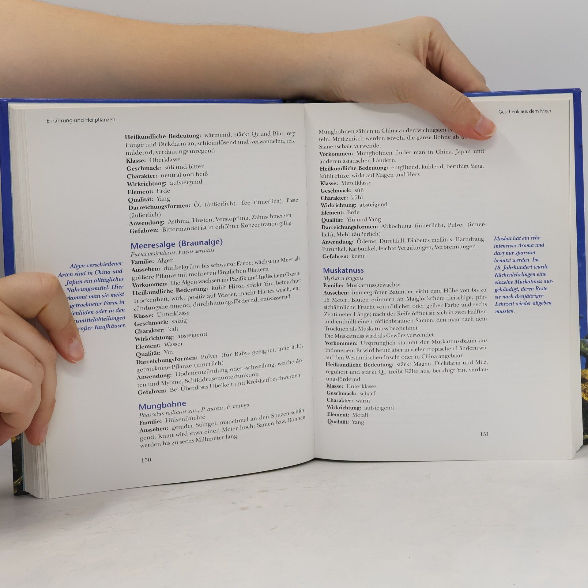 Andrea-Anna Cavelius Praxisbuch chinesische Medizin