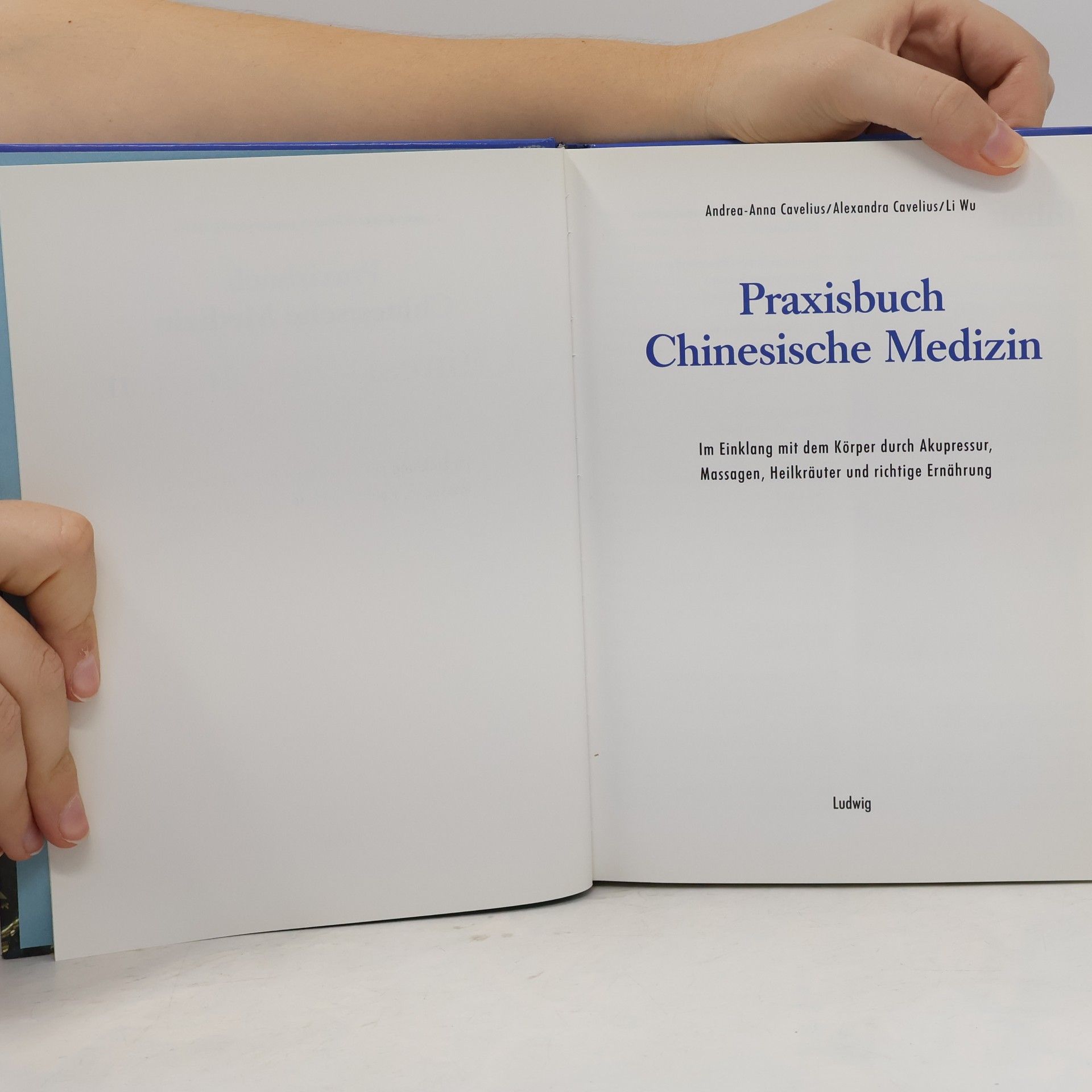 Andrea-Anna Cavelius Praxisbuch chinesische Medizin