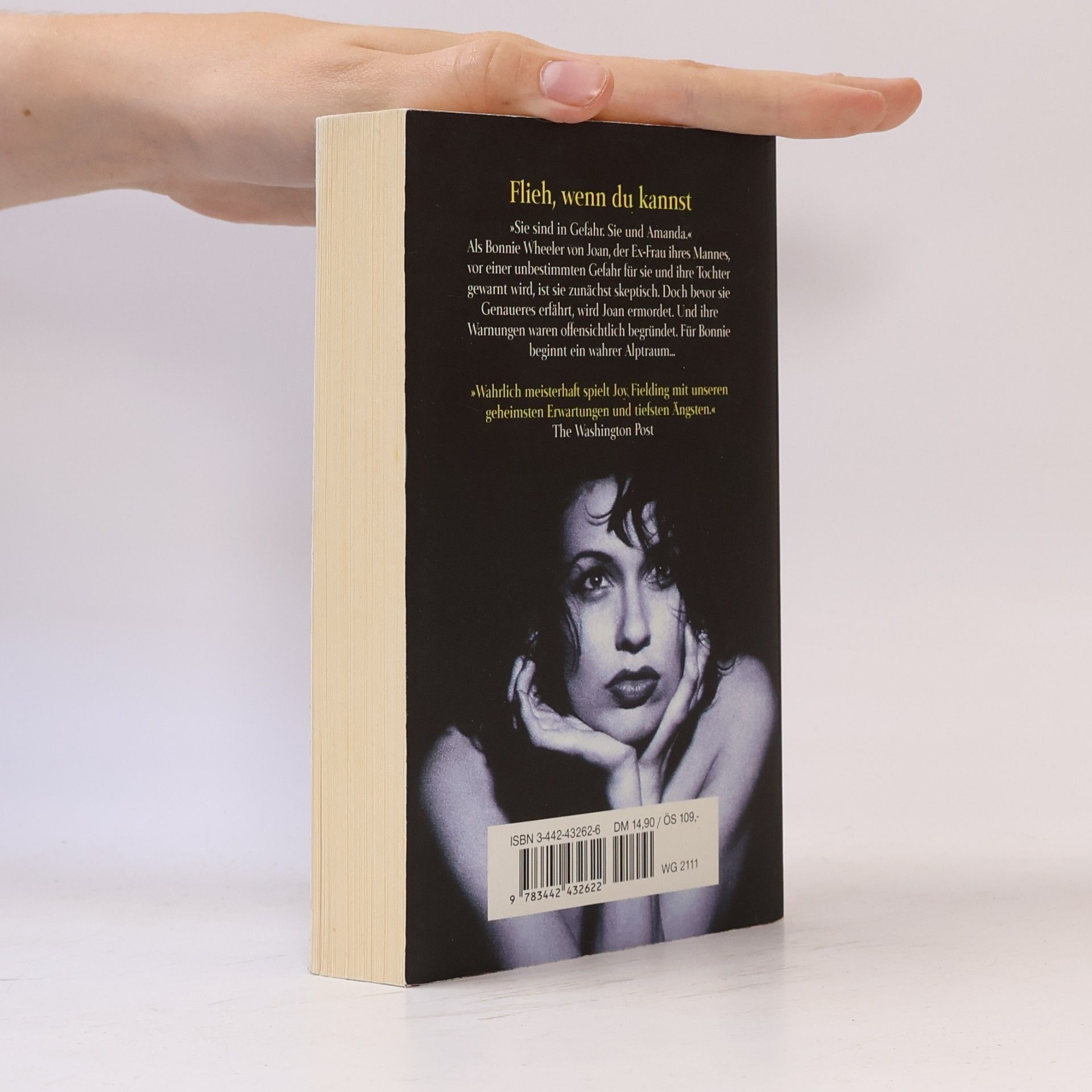 Joy Fielding Flieh, wenn du kannst