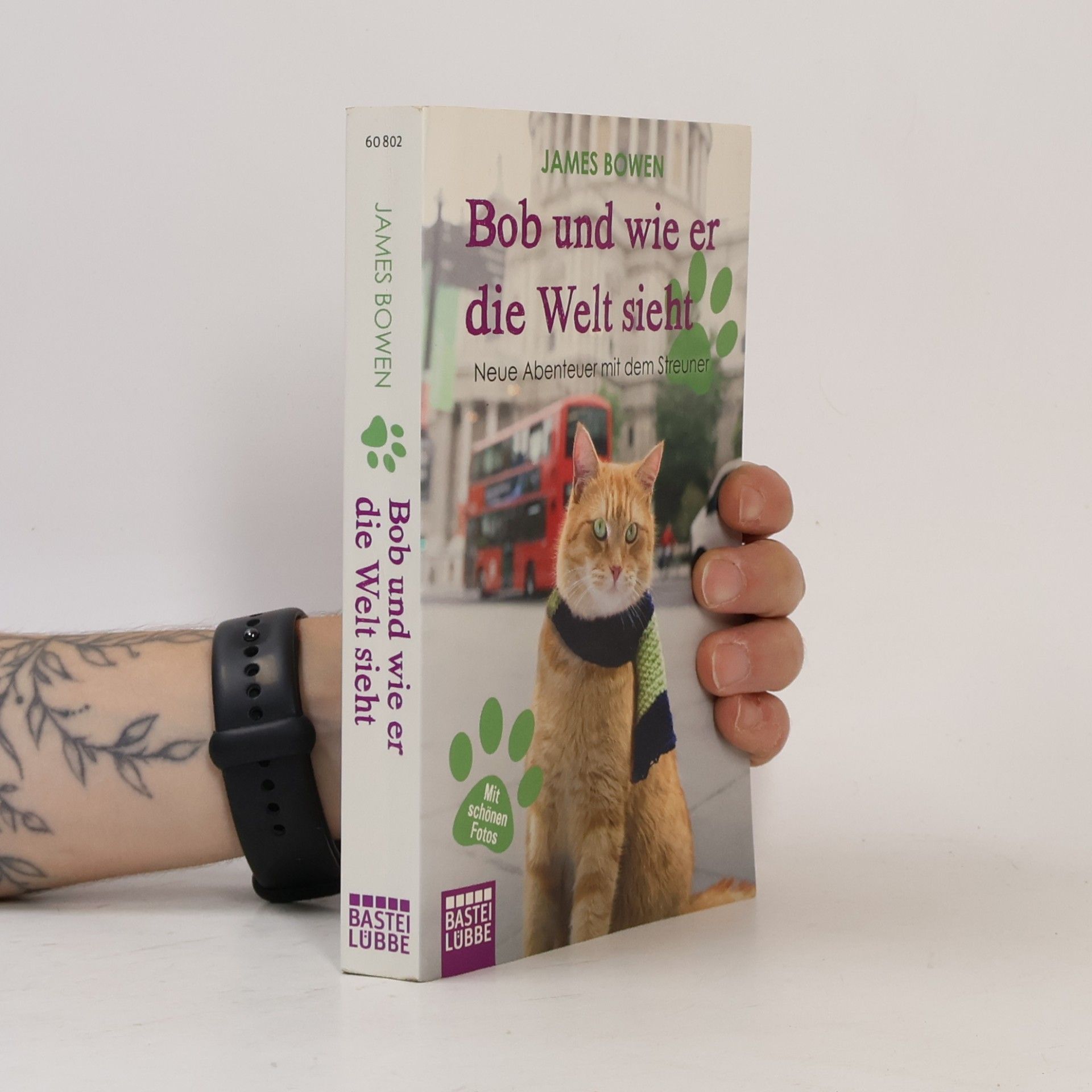 James Bowen Bob und wie er die Welt sieht