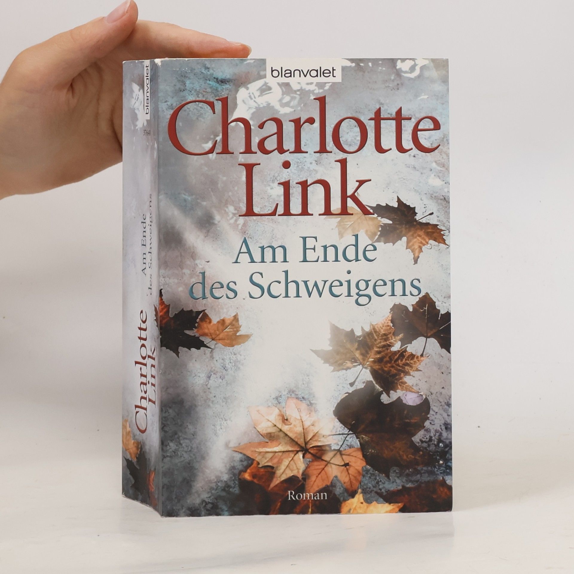 Charlotte Link Am Ende des Schweigens