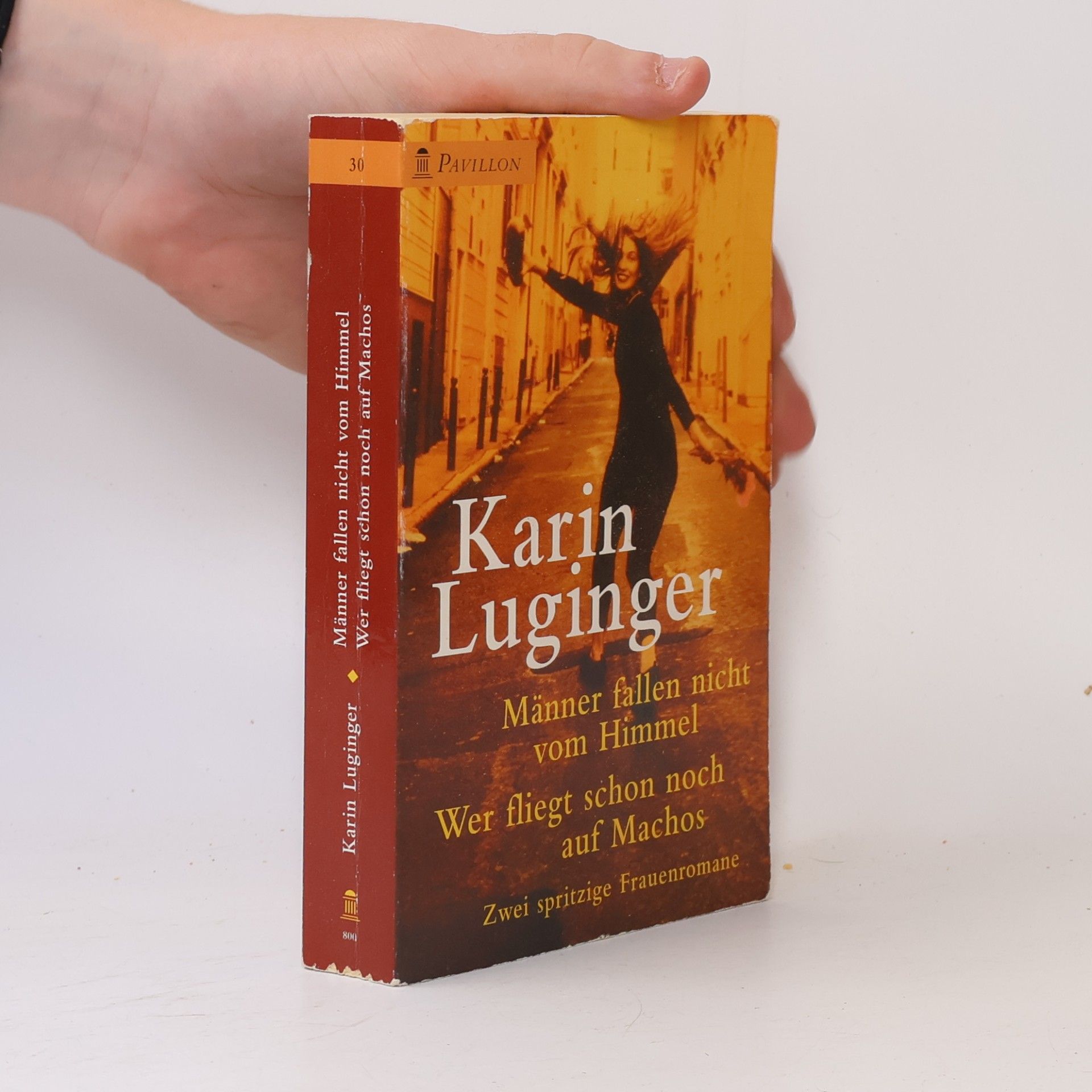 Karin Luginger Männer fallen nicht vom Himmel