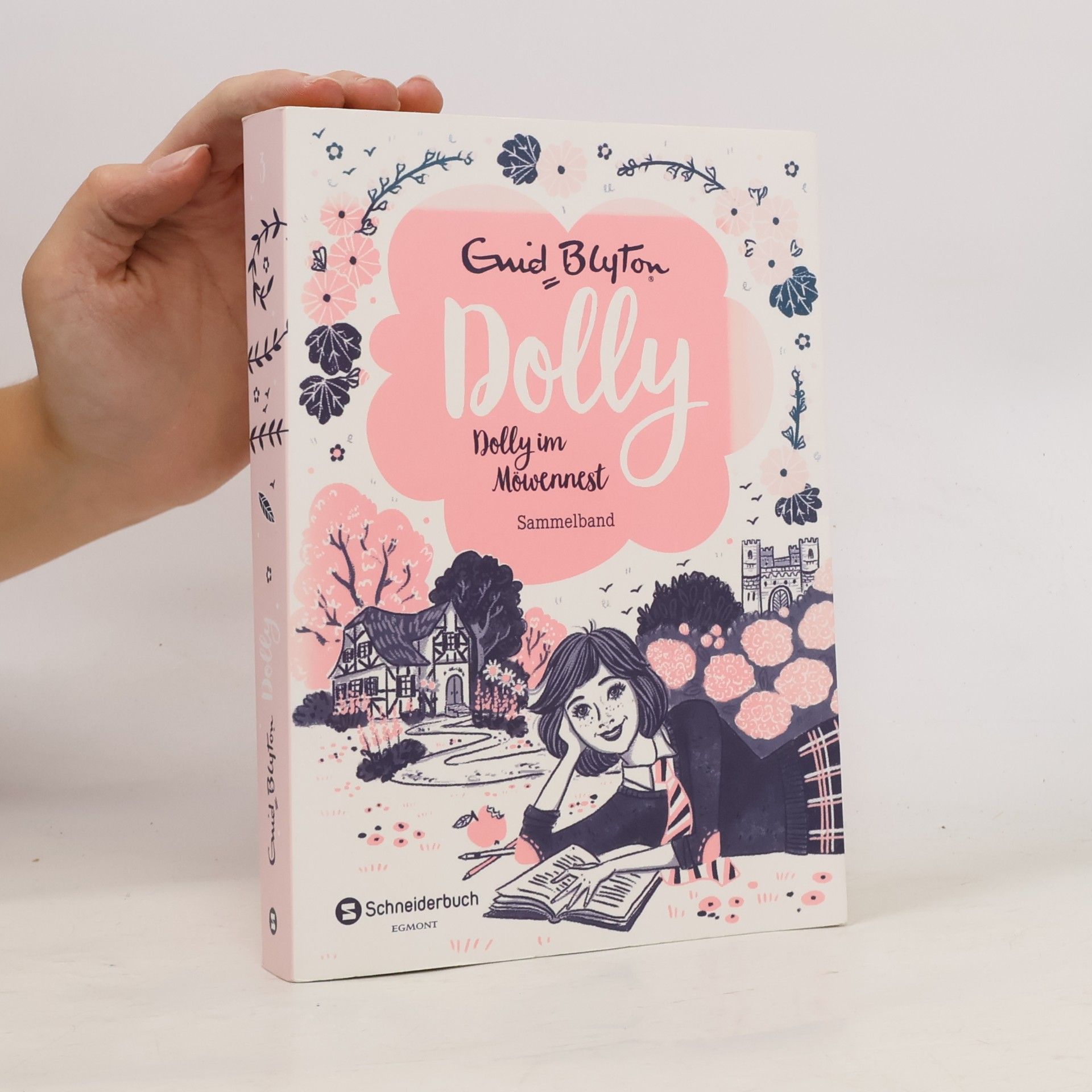 Enid Blyton Dolly im Möwennest
