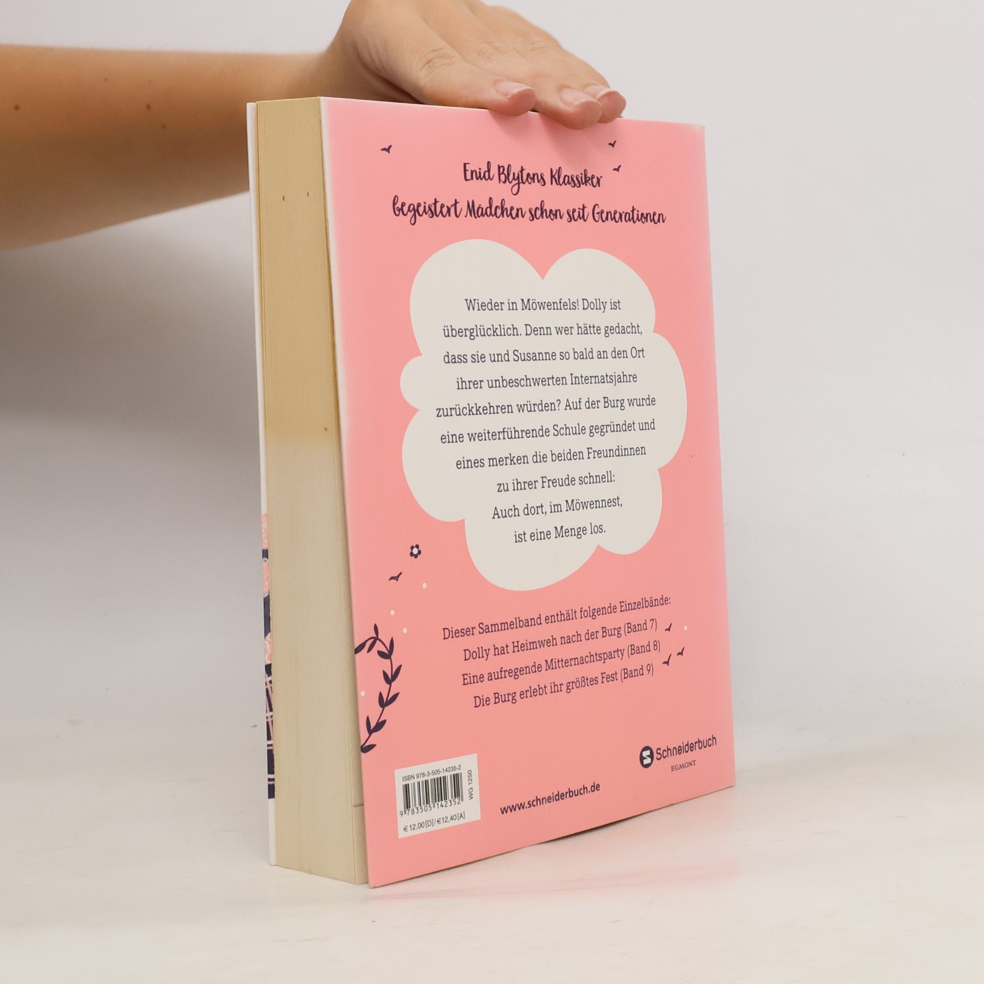 Enid Blyton Dolly im Möwennest