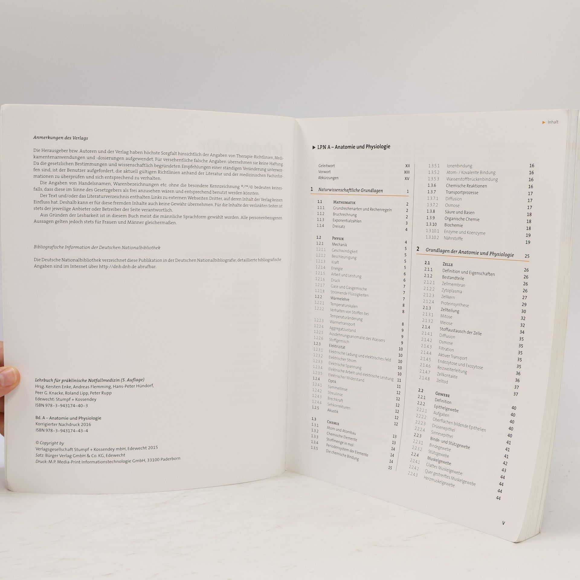 Autorenkollektiv Anatomie und Physiologie
