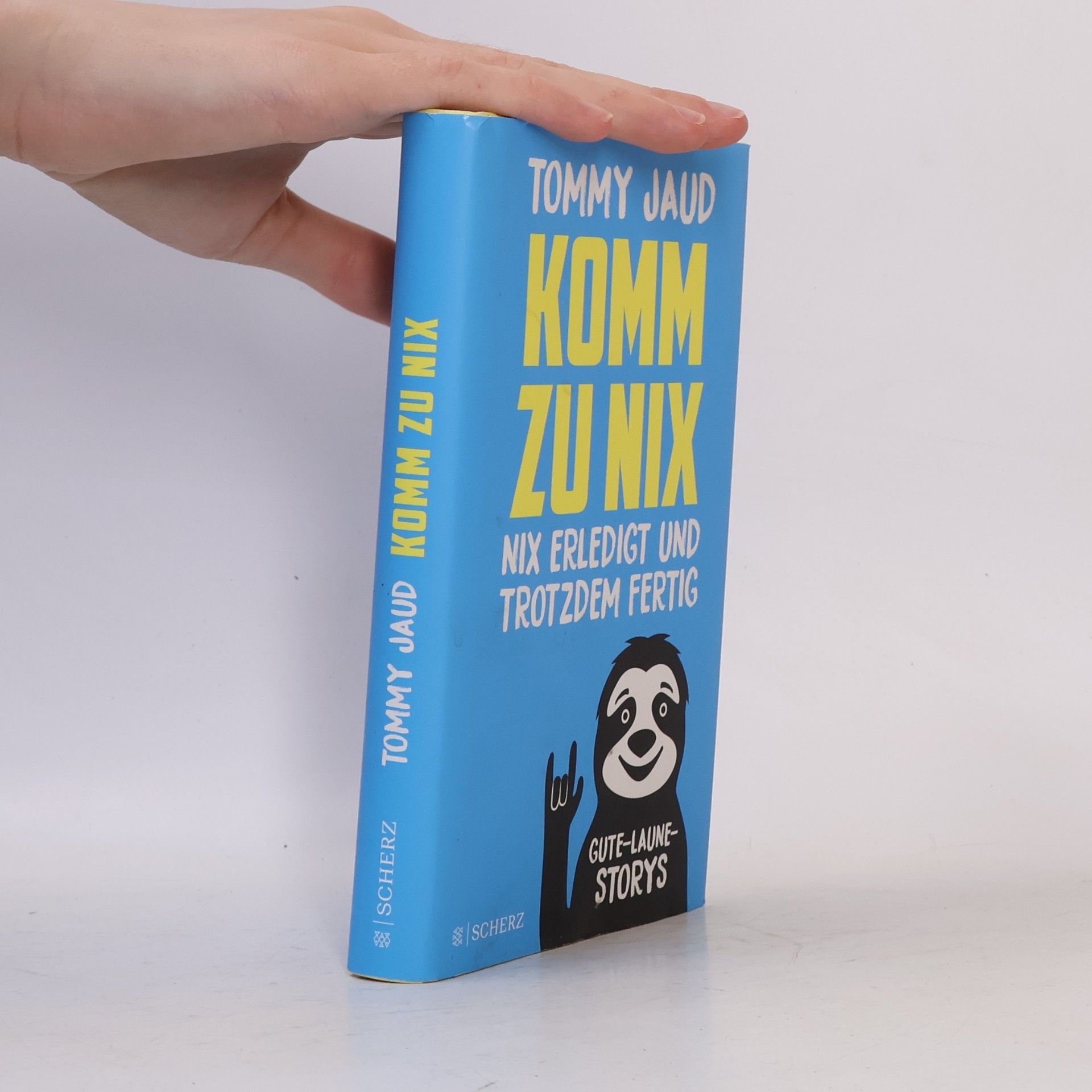 Tommy Jaud Komm zu nix. Nix erledigt und trotzdem fertig