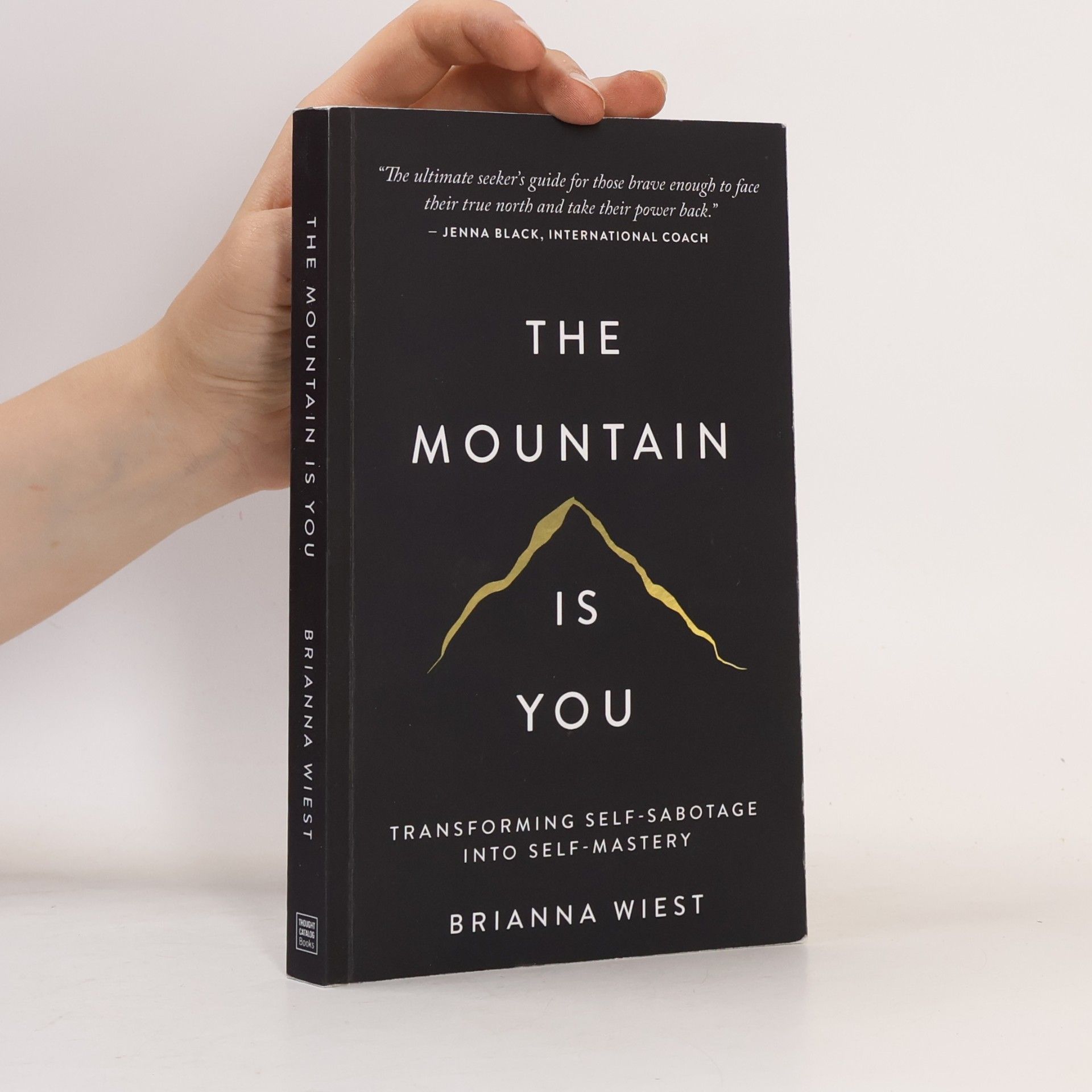 Brianna Wiest The Mountain Is You