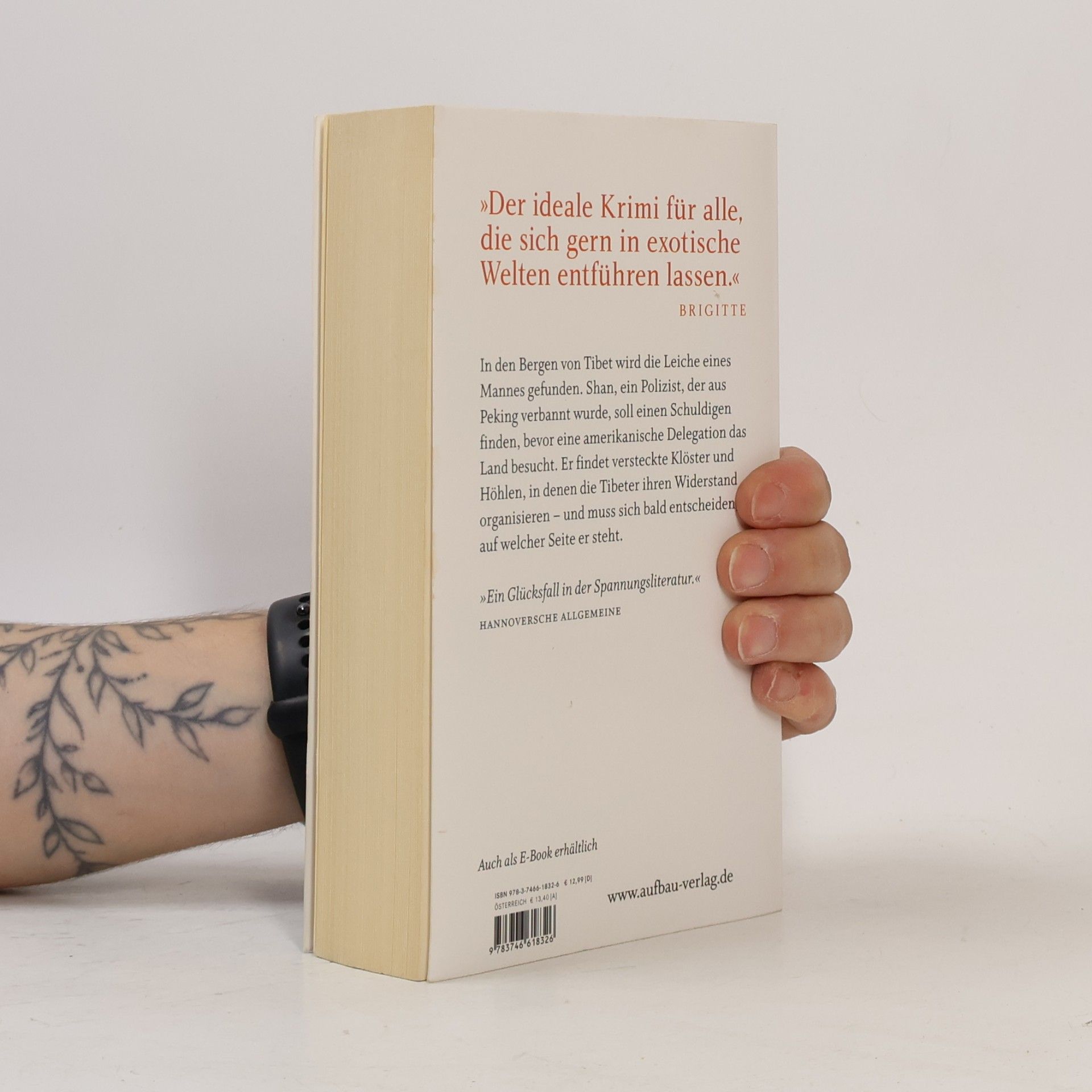 Eliot Pattison Der fremde Tibeter