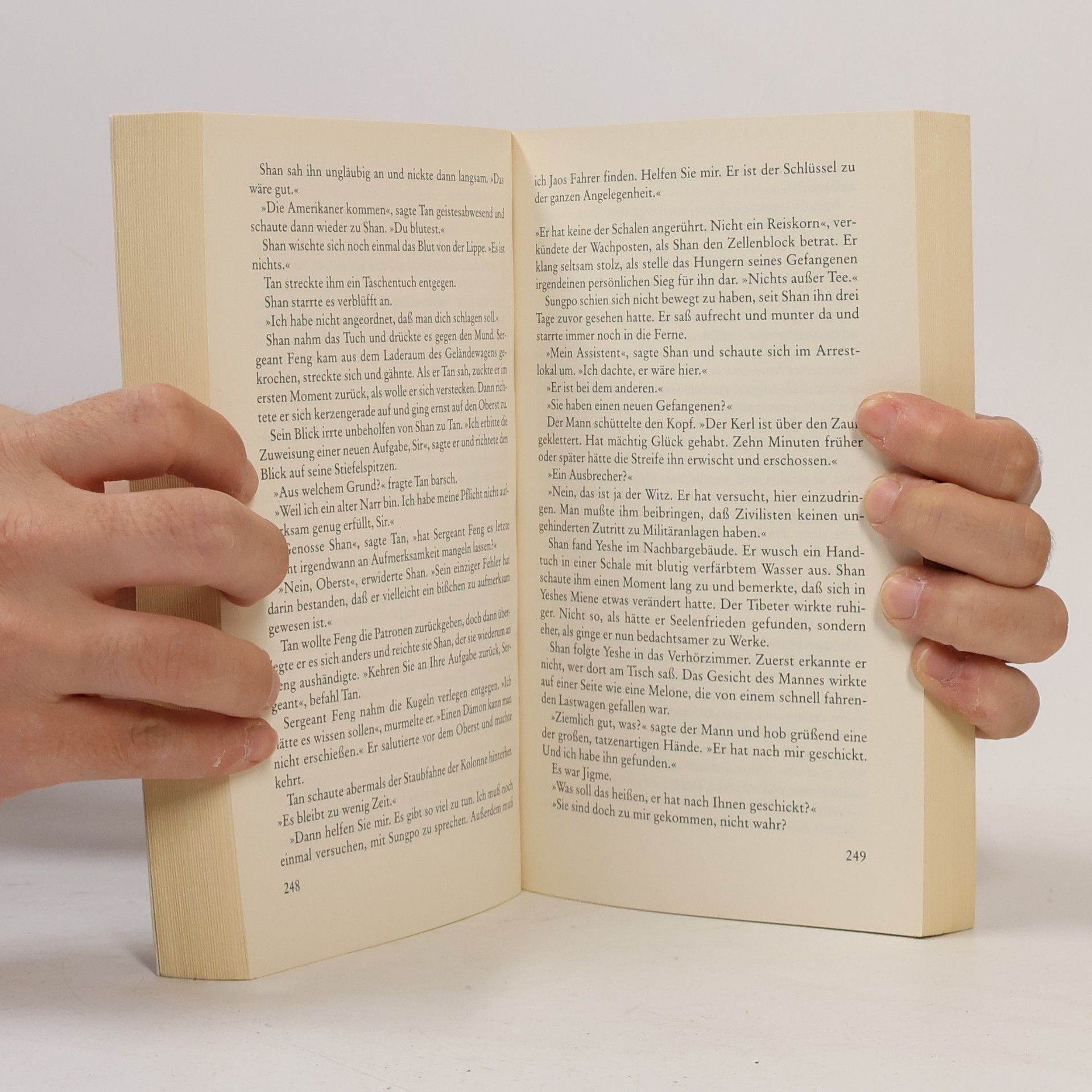 Eliot Pattison Der fremde Tibeter