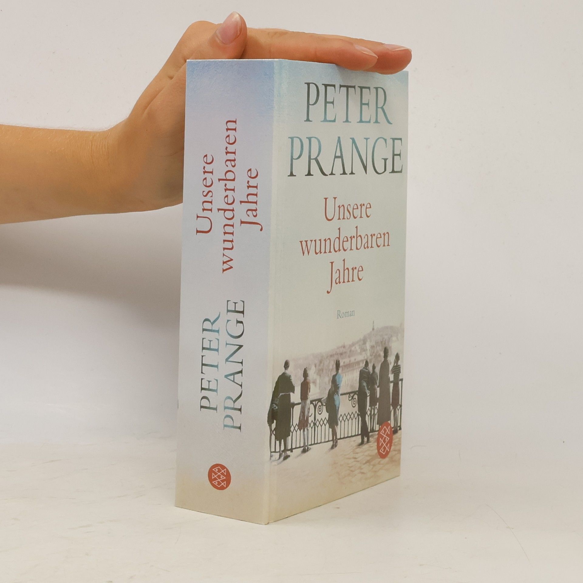 Peter Prange Unsere wunderbaren Jahre