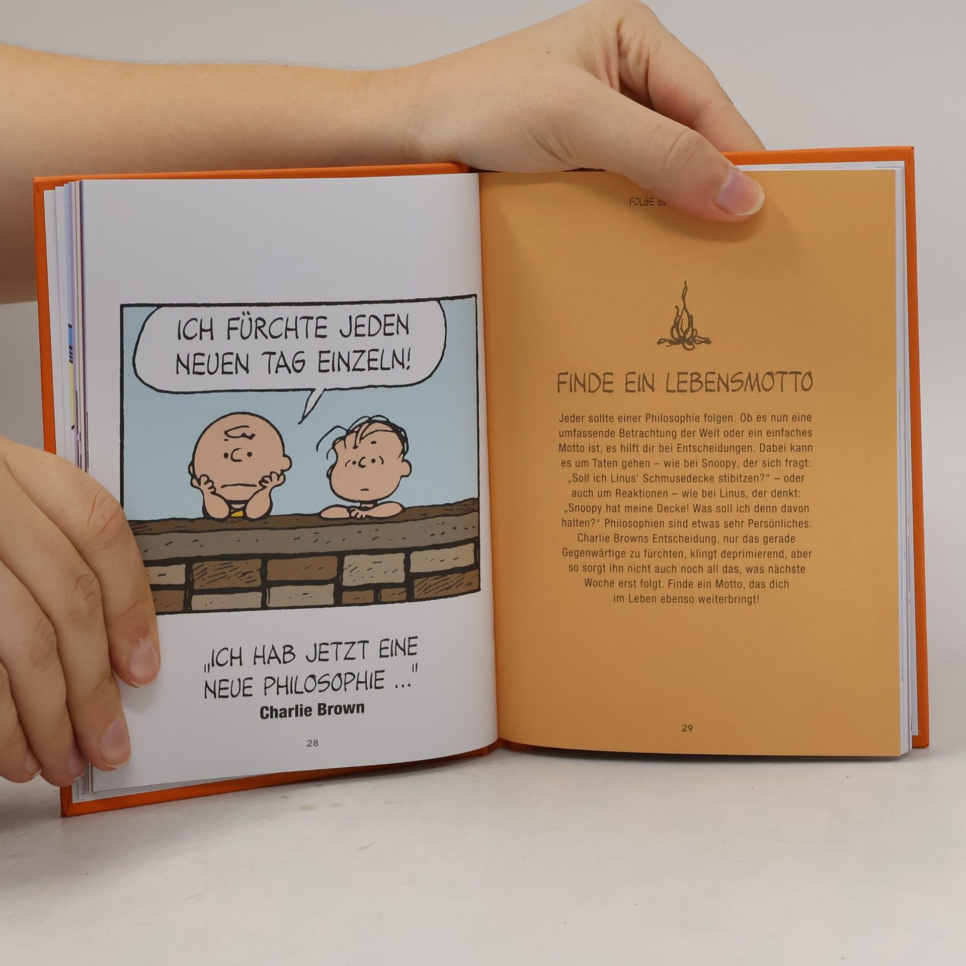 Nat Gertler Peanuts(TM) Entdecke den Charlie Brown in dir
