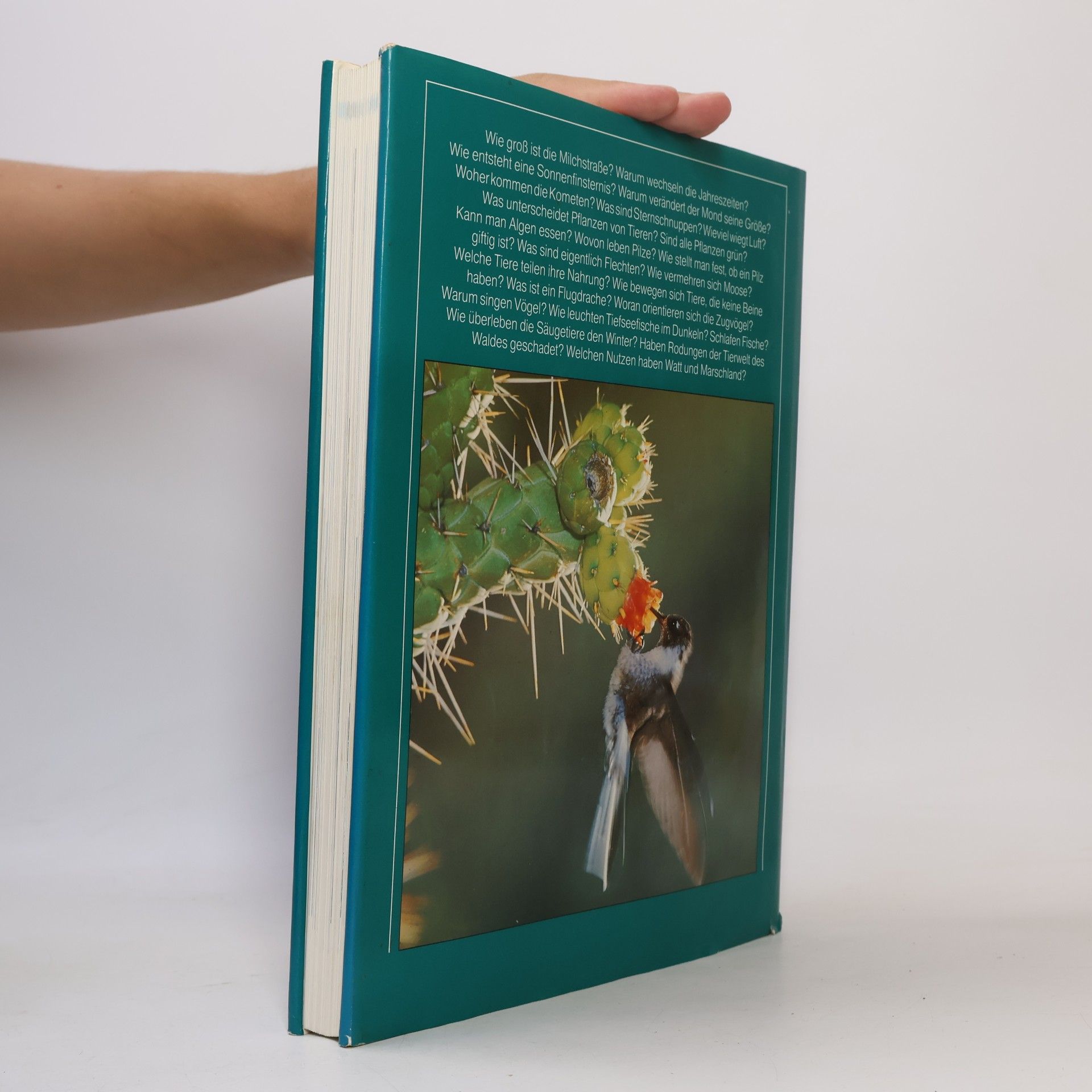 Autores varios 1000 Fragen an die Natur