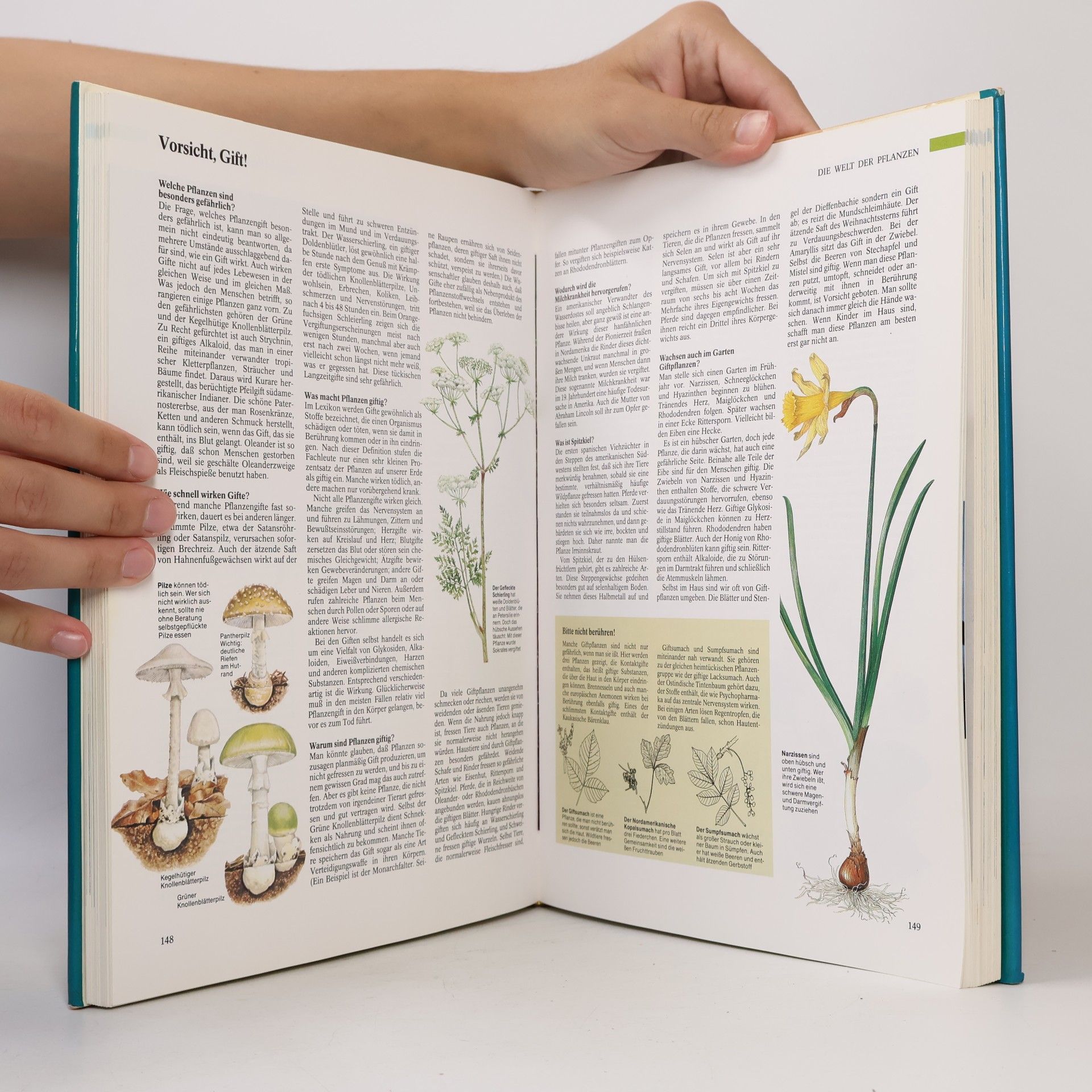 Autores varios 1000 Fragen an die Natur