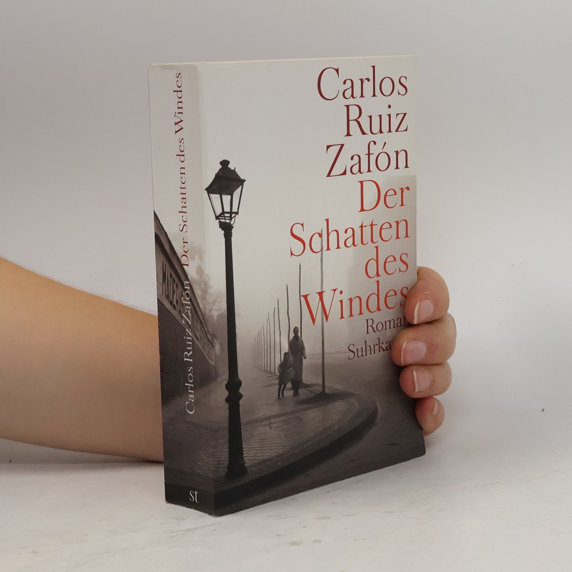 Carlos Ruiz Safon Der Schatten des Windes