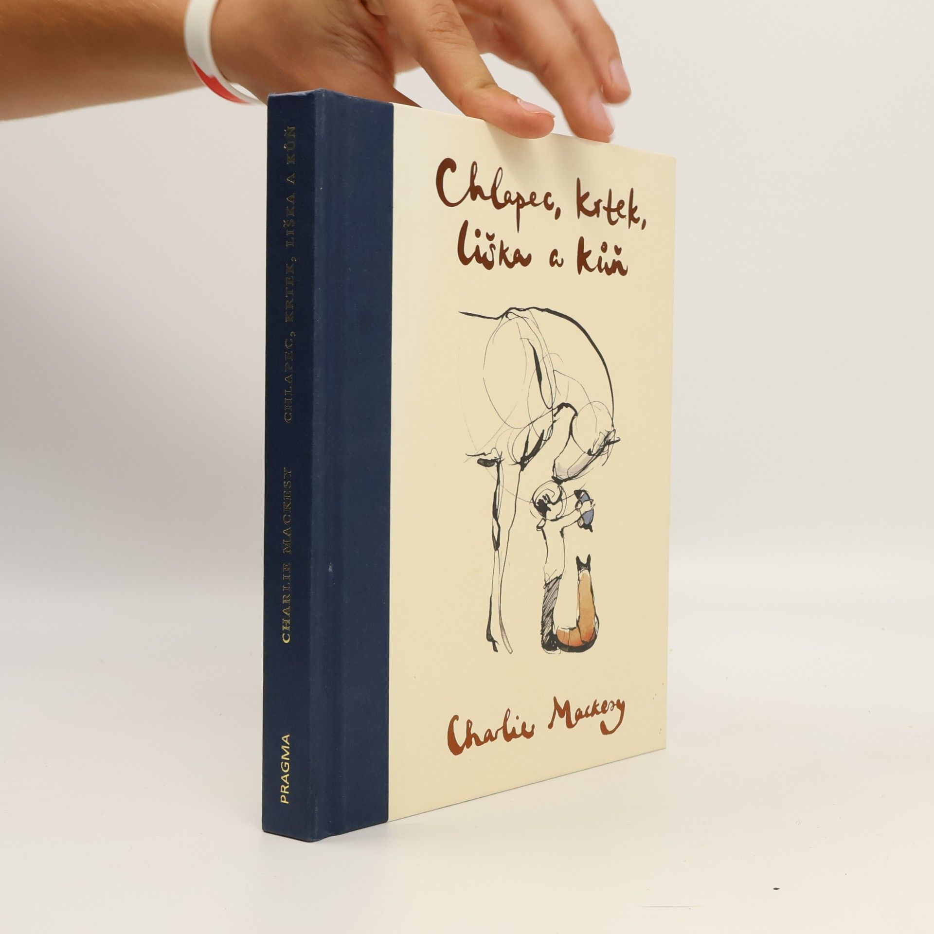Charlie Mackesy Chlapec, krtek, liška a kůň
