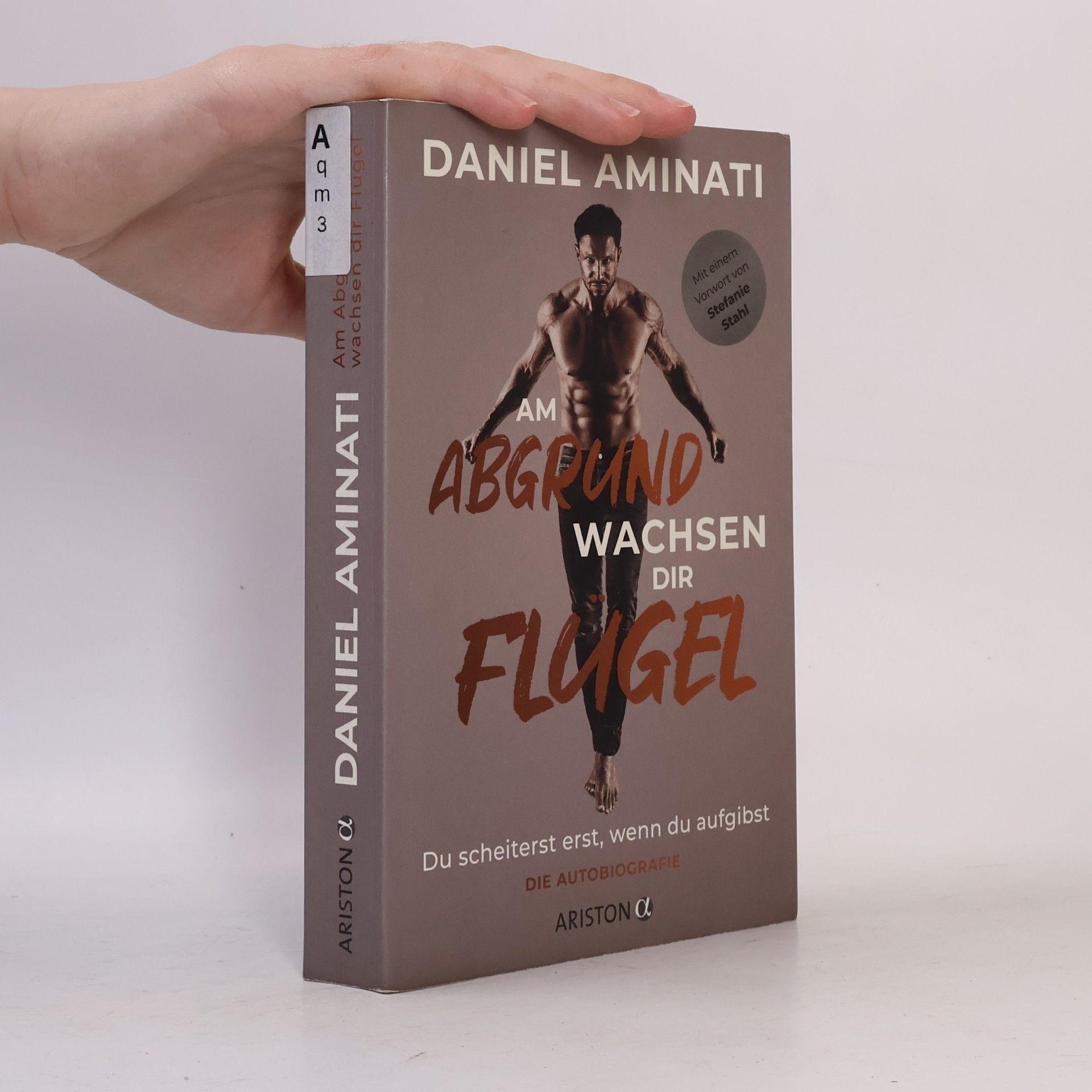 Daniel Aminati Am Abgrund wachsen dir Flügel