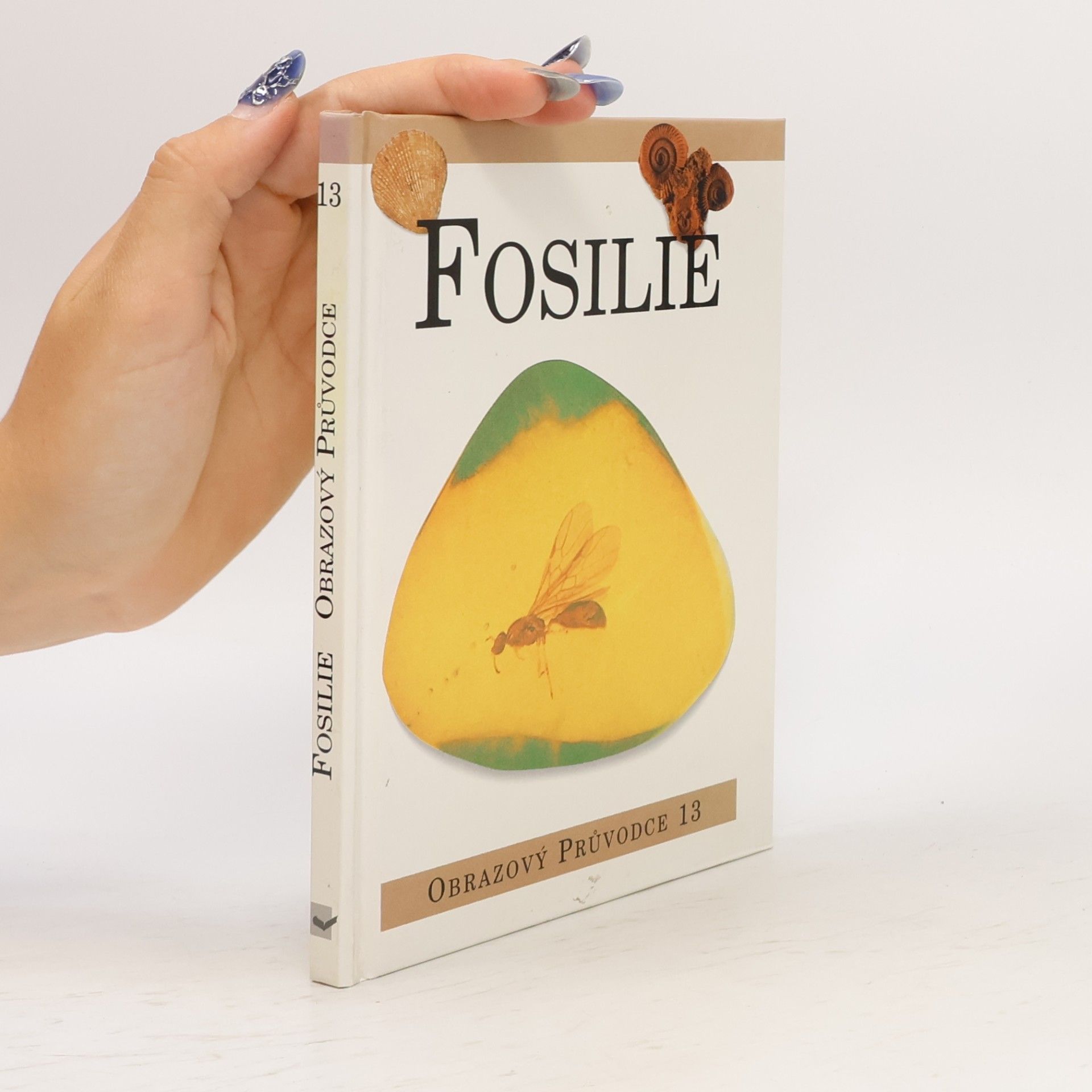 Kolektiv autorů Fosilie