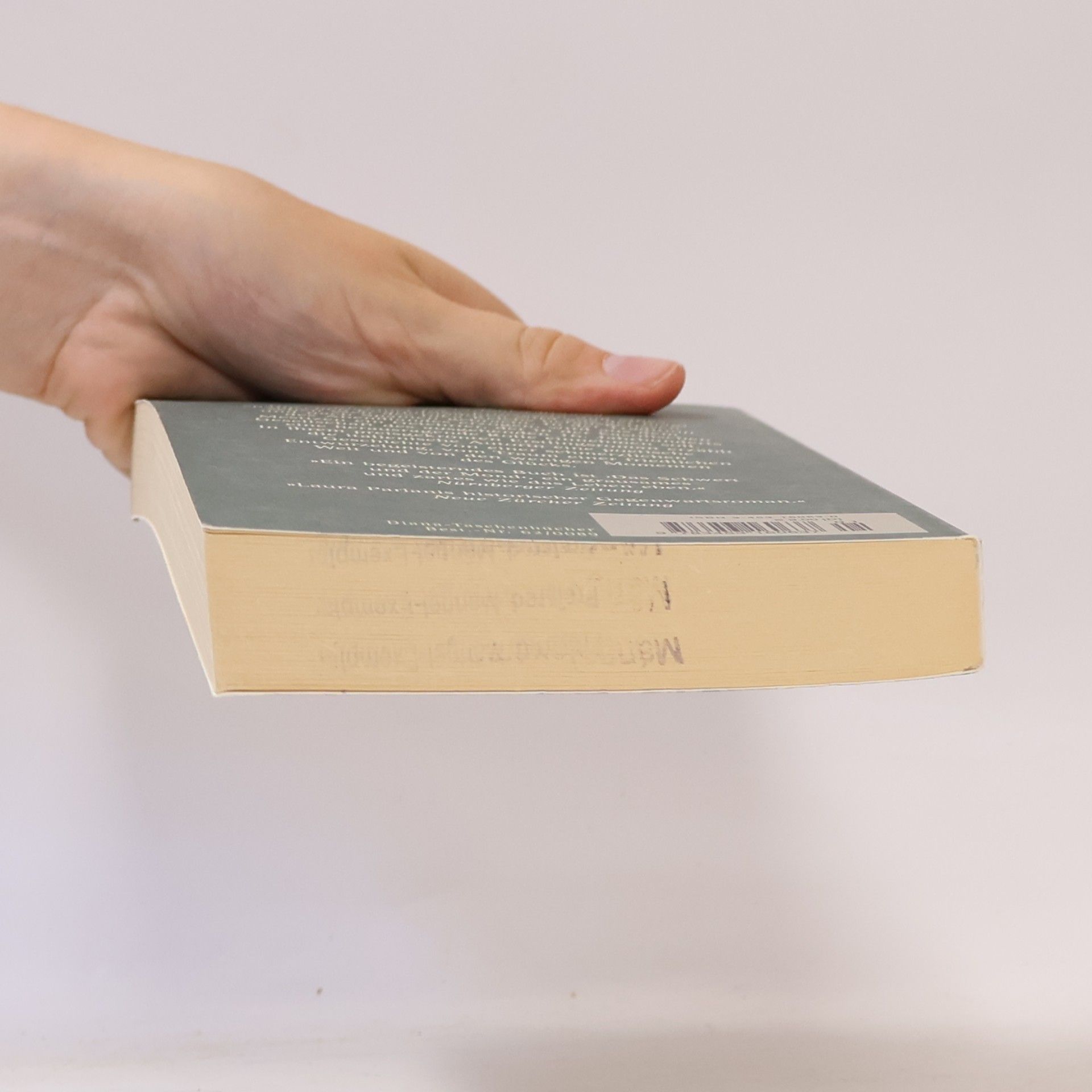 Laura Pariani Diana-Taschenbücher - 89: Das Schwert und der Mond