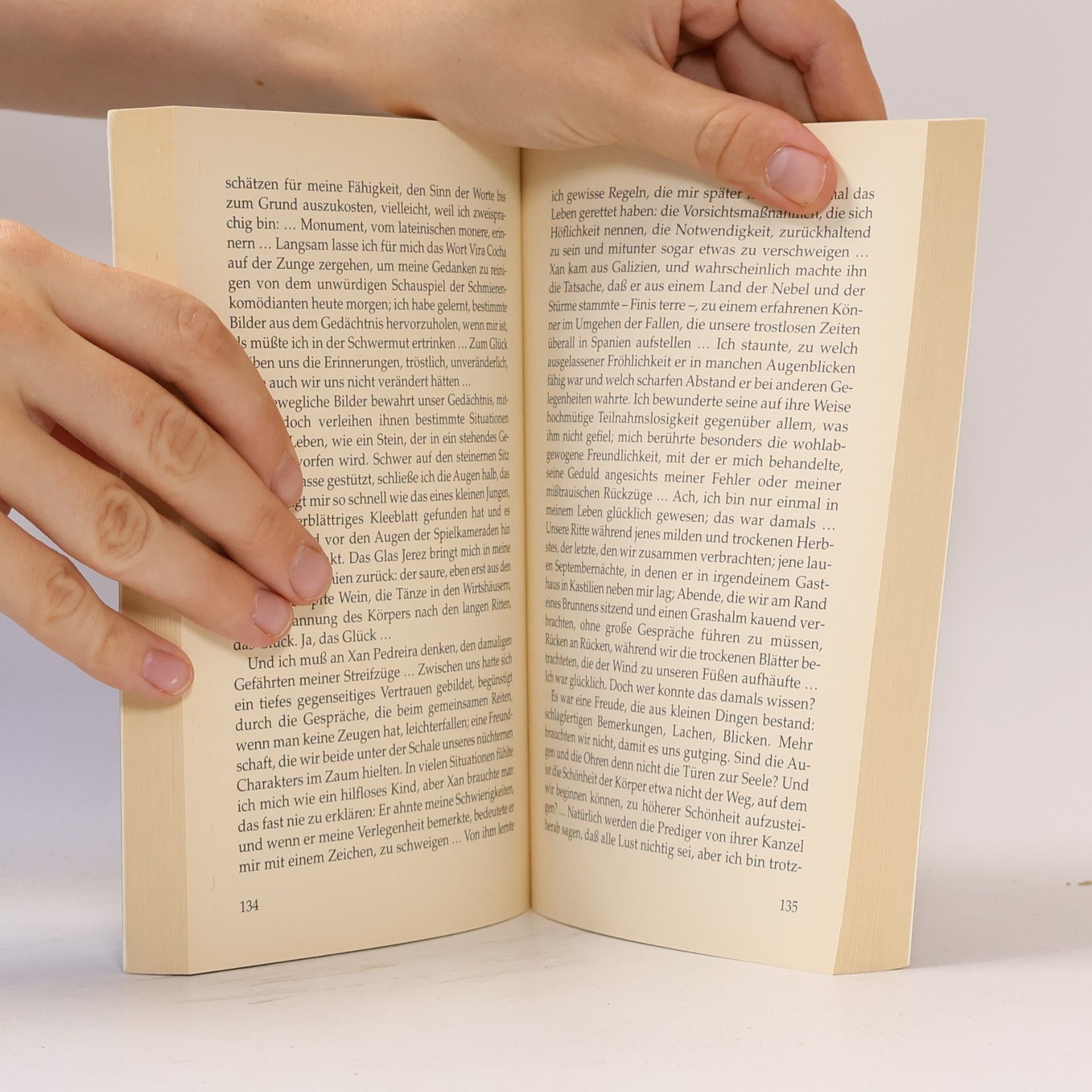 Laura Pariani Diana-Taschenbücher - 89: Das Schwert und der Mond