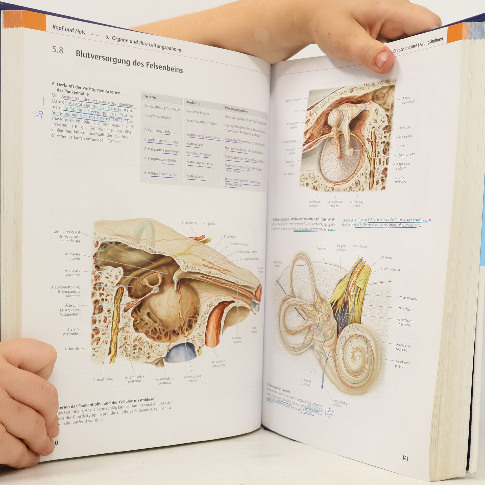 Michael Schünke Prometheus: LernAtlas der Anatomie