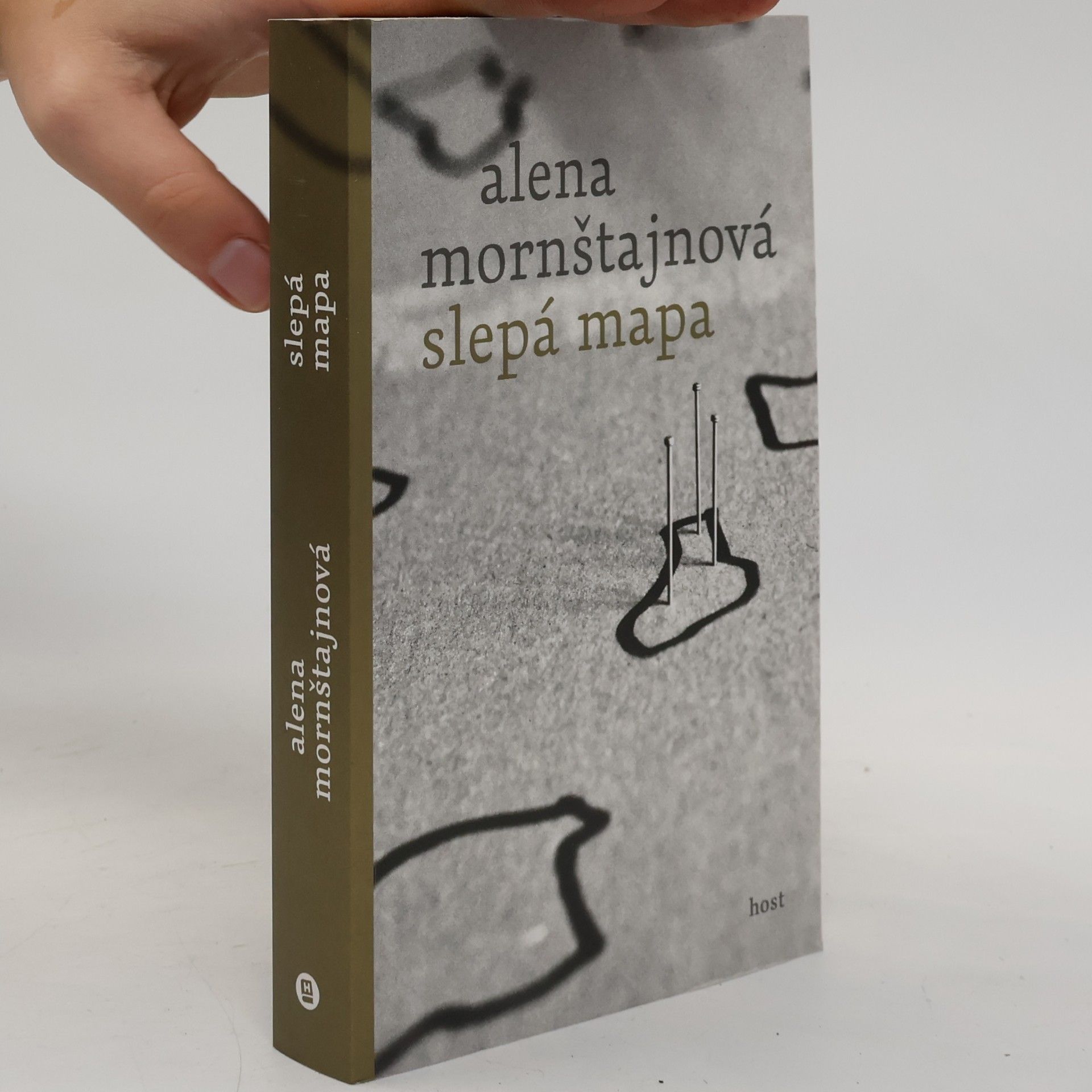 Alena Mornštajnová Slepá mapa