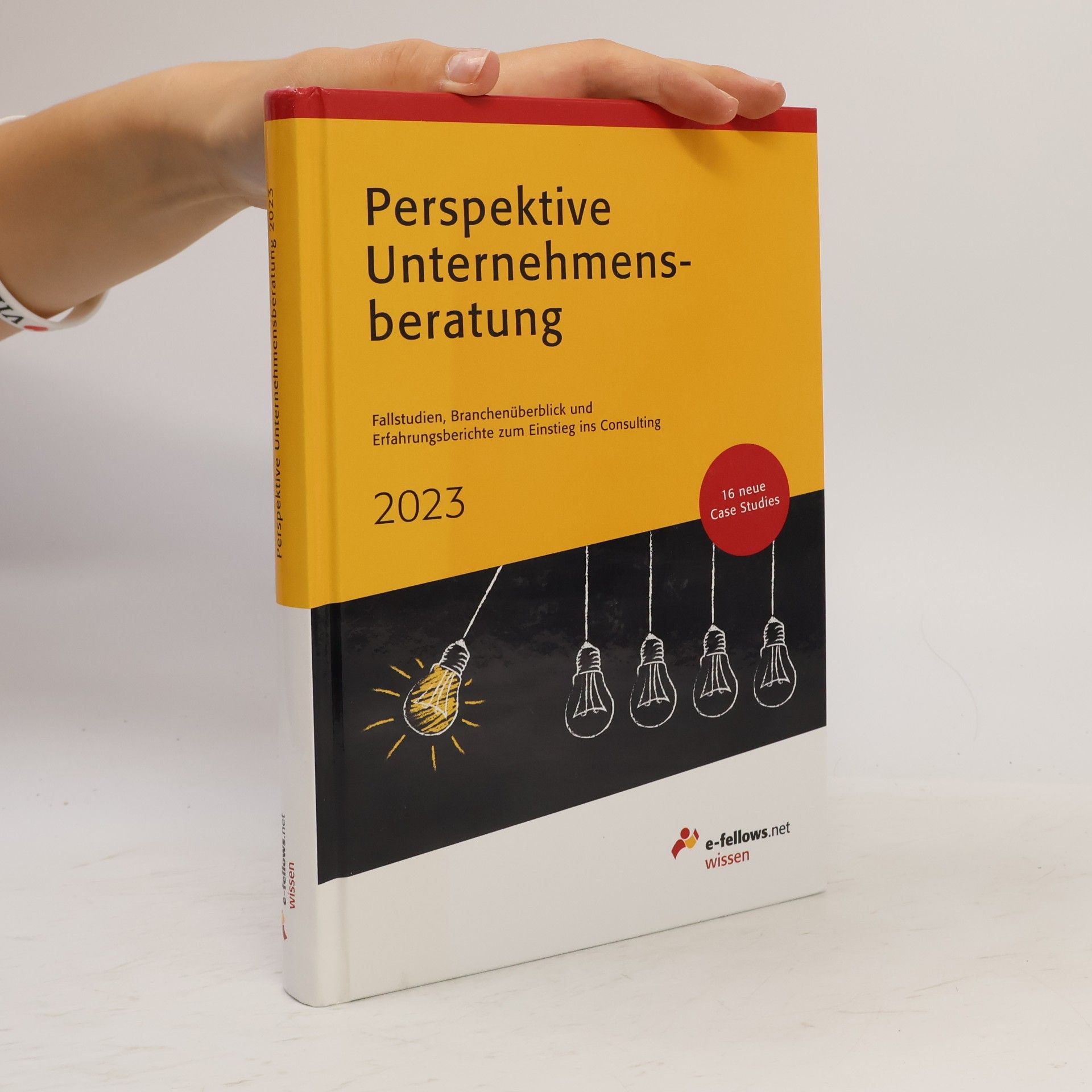 Kolektiv autorů Perspektive Unternehmensberatung 2023