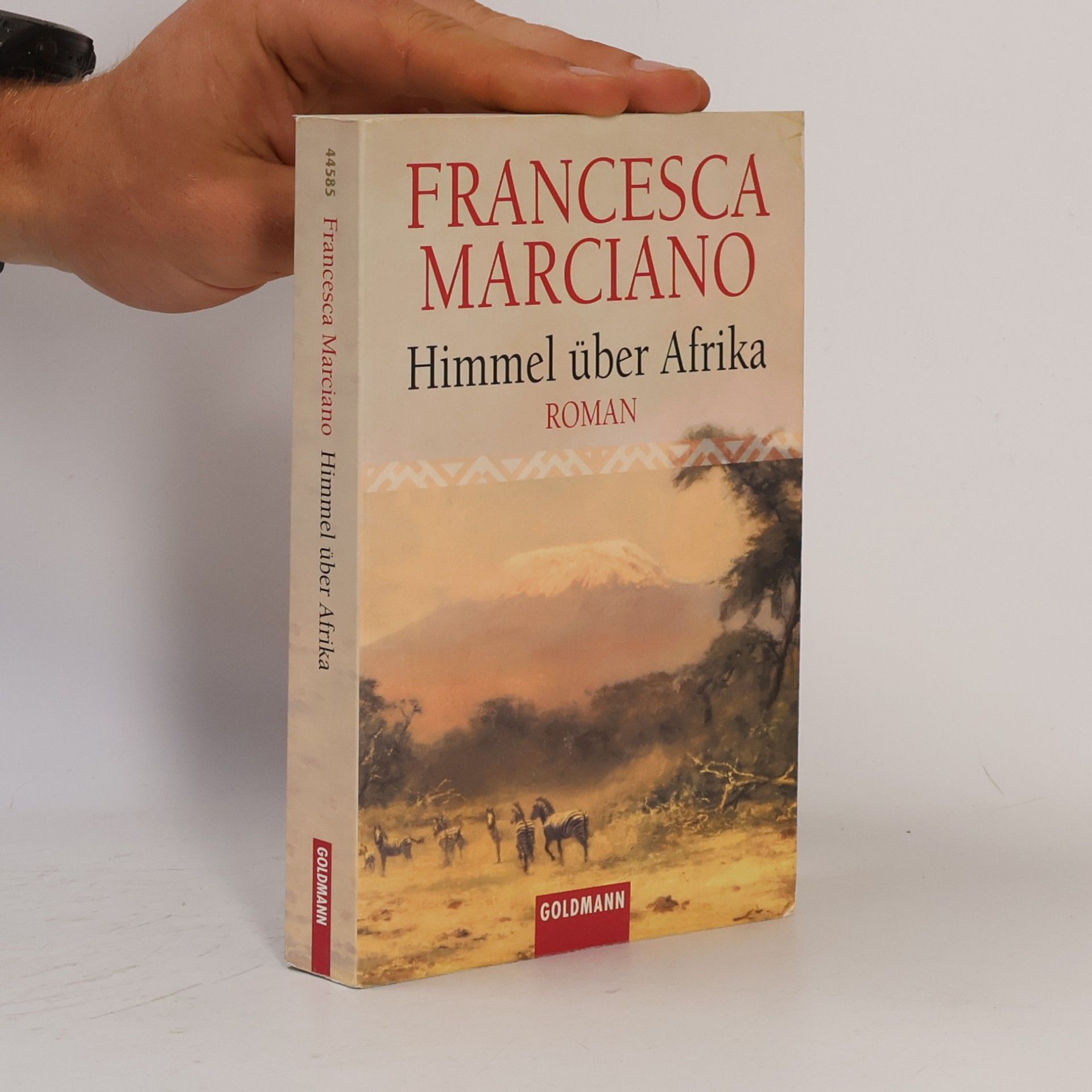 Francesca Marciano Himmel über Afrika