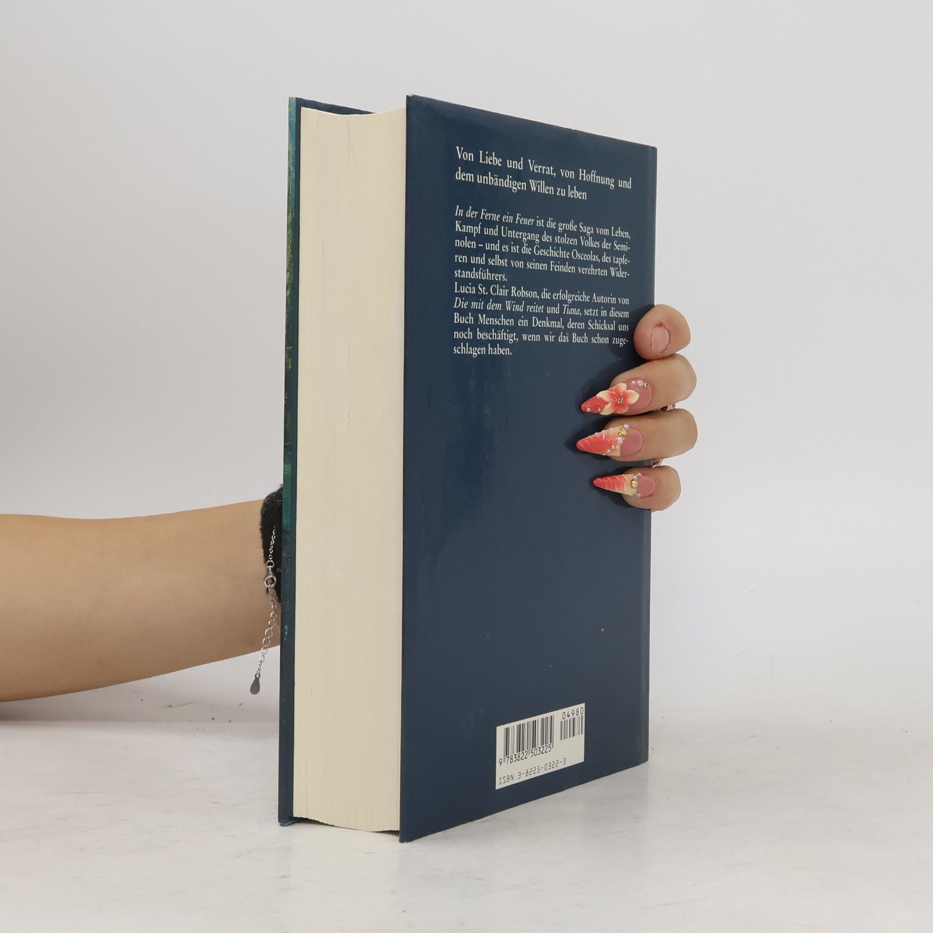 Lucia St. Clair Robson In der Ferne ein Feuer