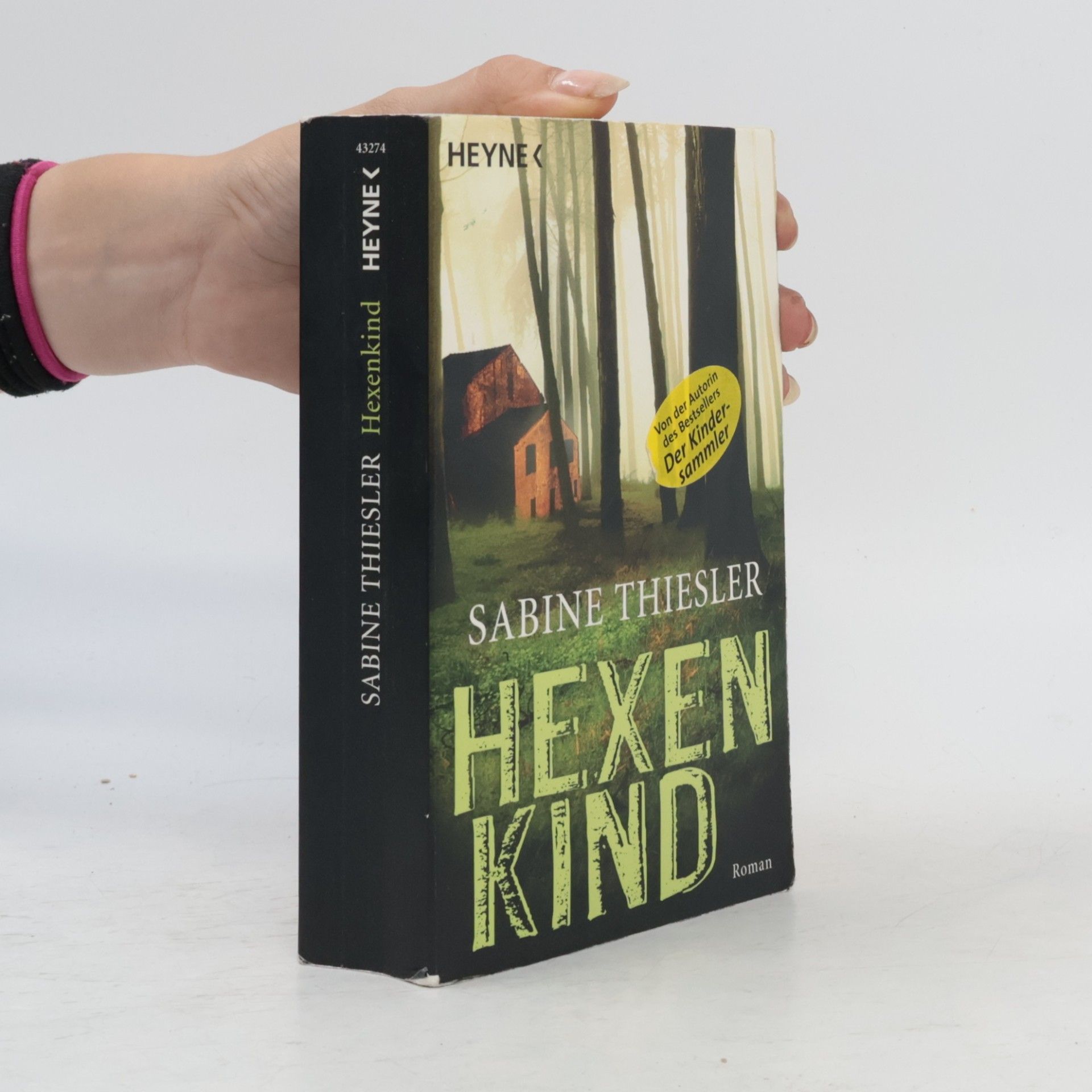 Sabine Thiesler Hexenkind - Roman
