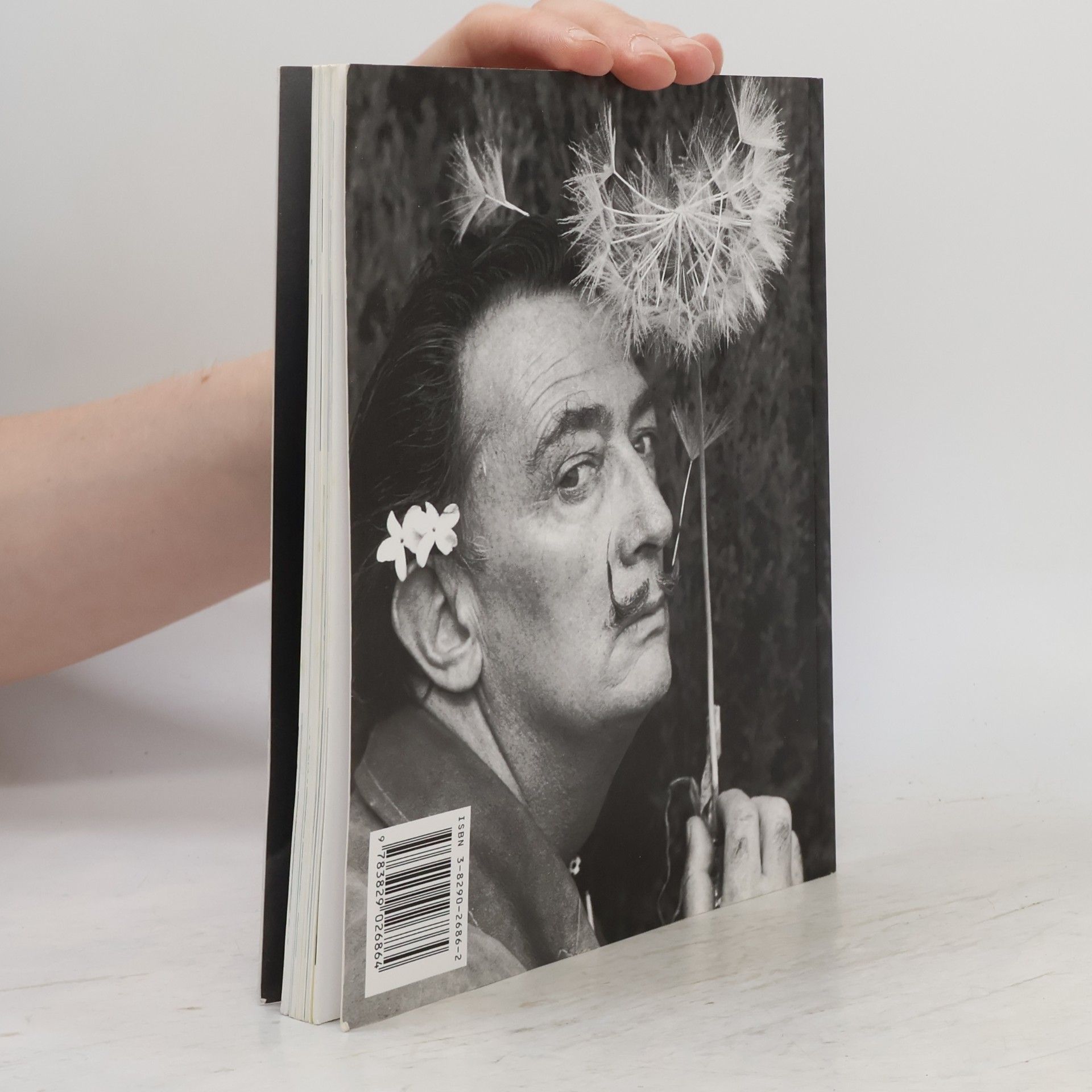 AA.VV. Dalí