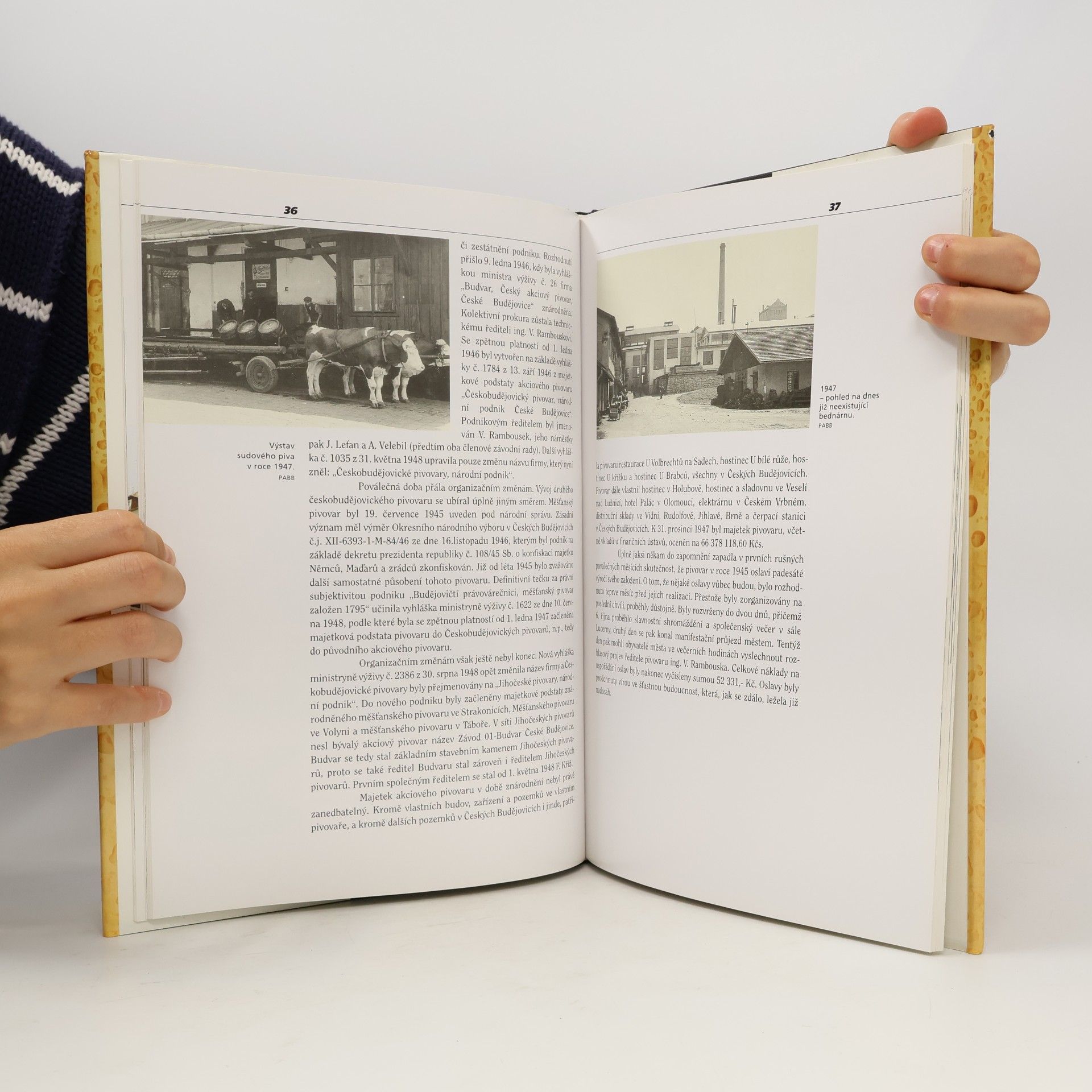 Autorenkollektiv Budějovický Budvar 1895-1995